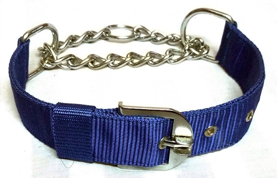 Skora and Durable Dog Choke Collar 4MM - Large Dogs (Blue) (B075N7SBN1) Amazon Price History, Amazon Price Tracker