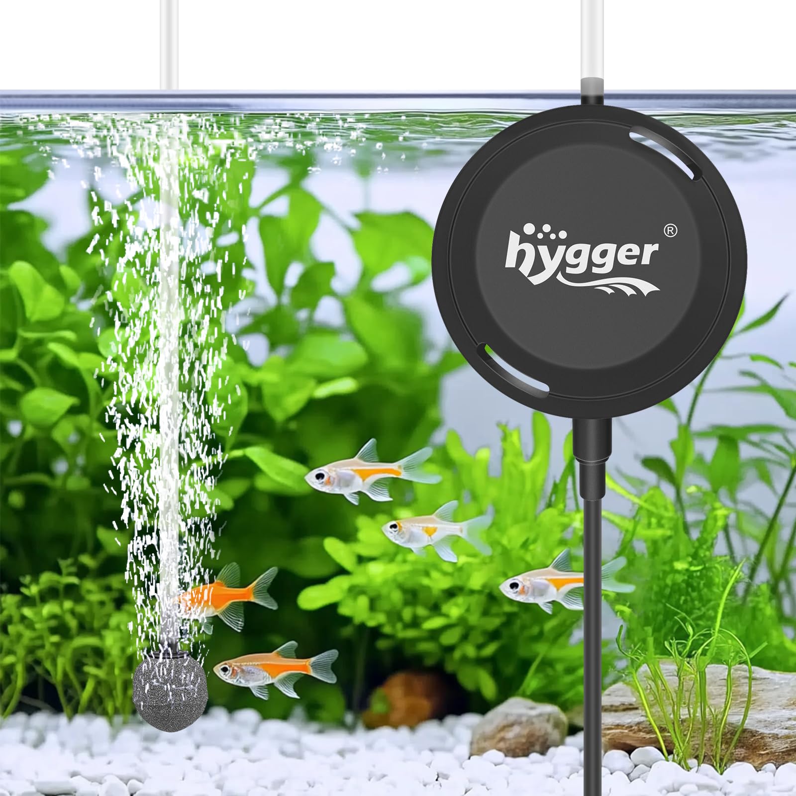 Amazon.com : hygger MINI 1.5W Fish Bowl Aqaurium Silent Air Pump with Accessories, Oxygen Aerator Kit for Fish Tank 0.5-12 Gallon Fish Tank : Pet Supplies Amazon.com : hygger MINI 1.5W Fish Bowl Aqaurium Silent Air Pump with Accessories, Oxygen Aerator Kit for Fish Tank 0.5-12 Gallon Fish Tank : Pet Supplies