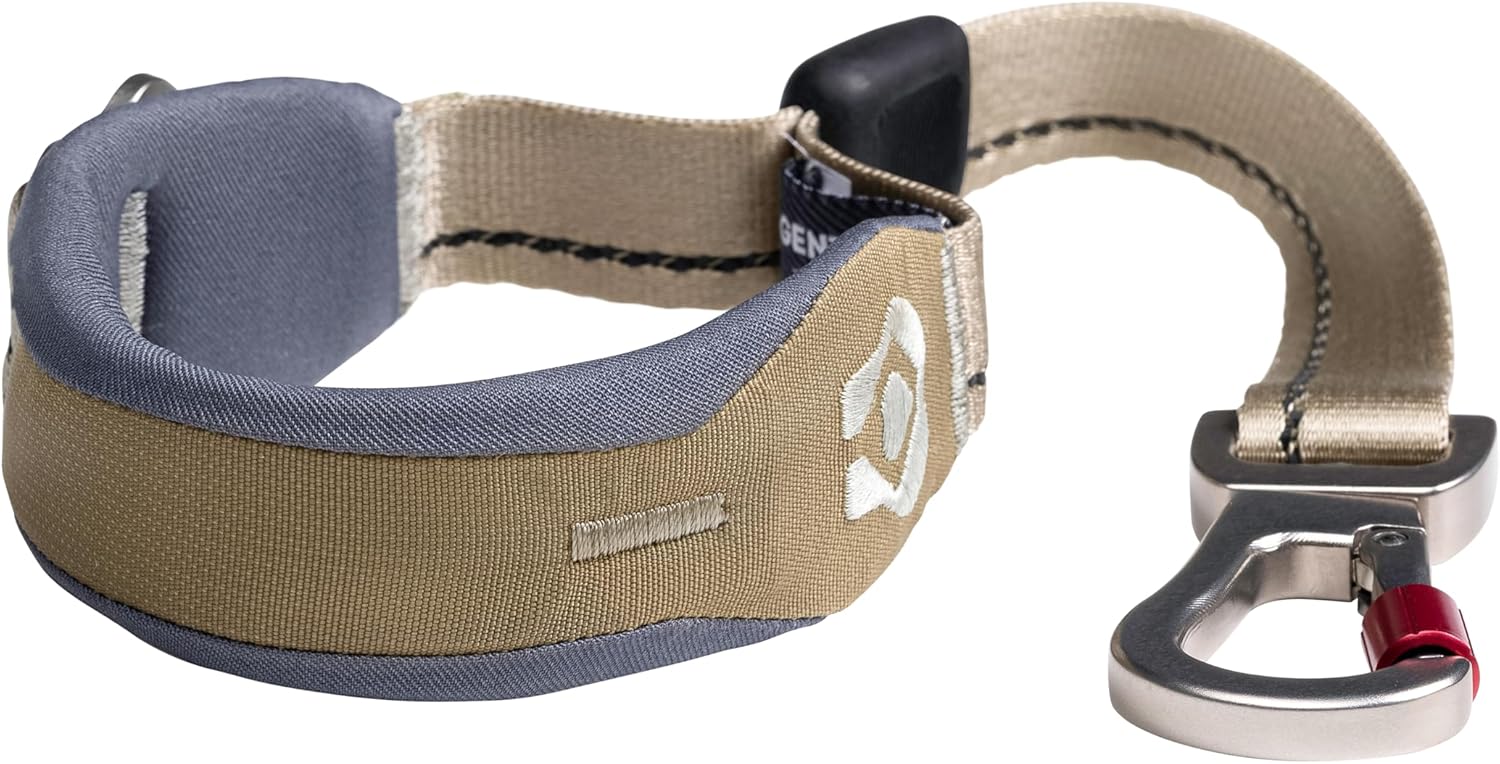 Ready-Go Quick-Grip Short Leash – Durable Recycled Nylon Dog Leash with Padded Handle for Close Control, Training & Everyday Walks – Compact 18" Length (Grove)