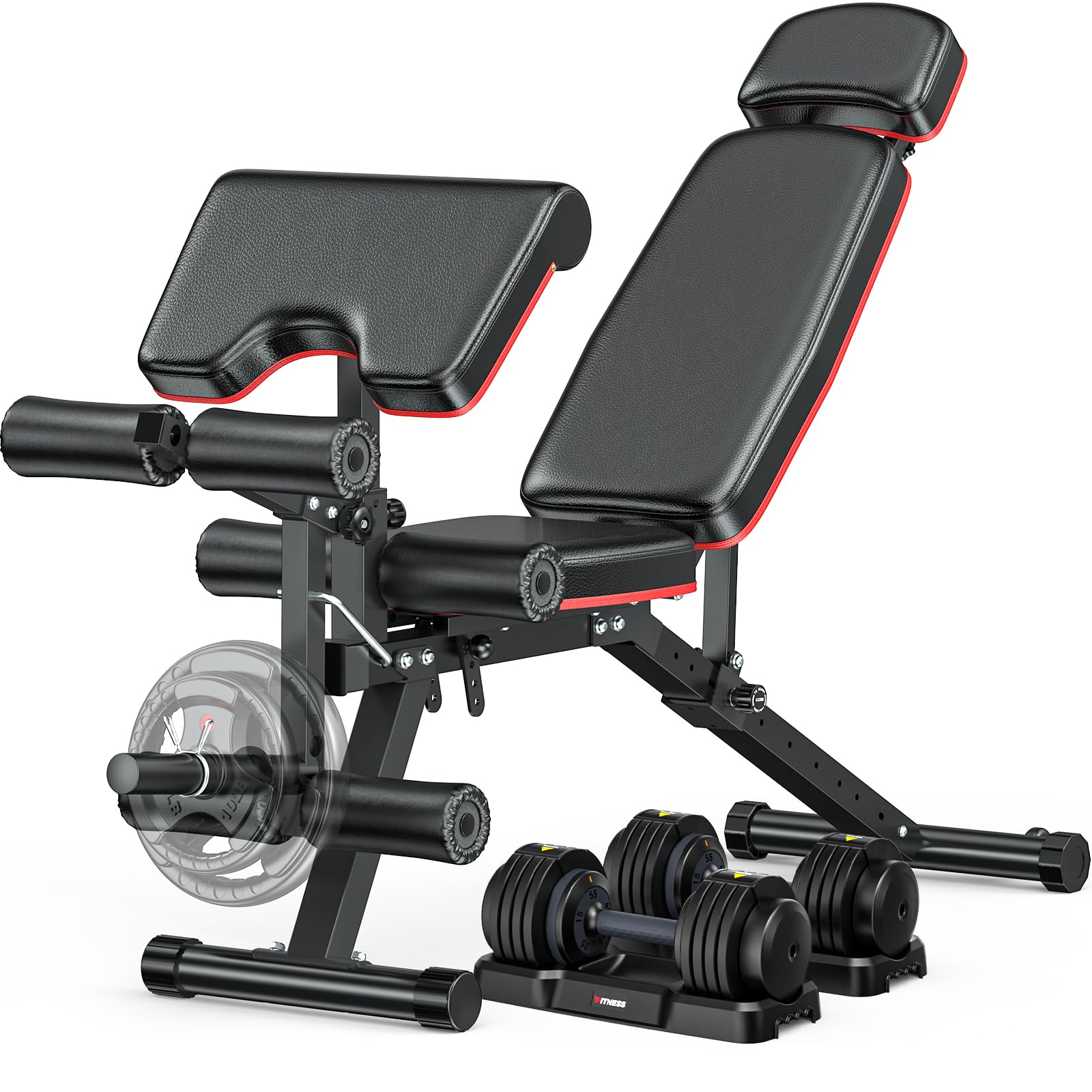XDDIAS Workout Bench