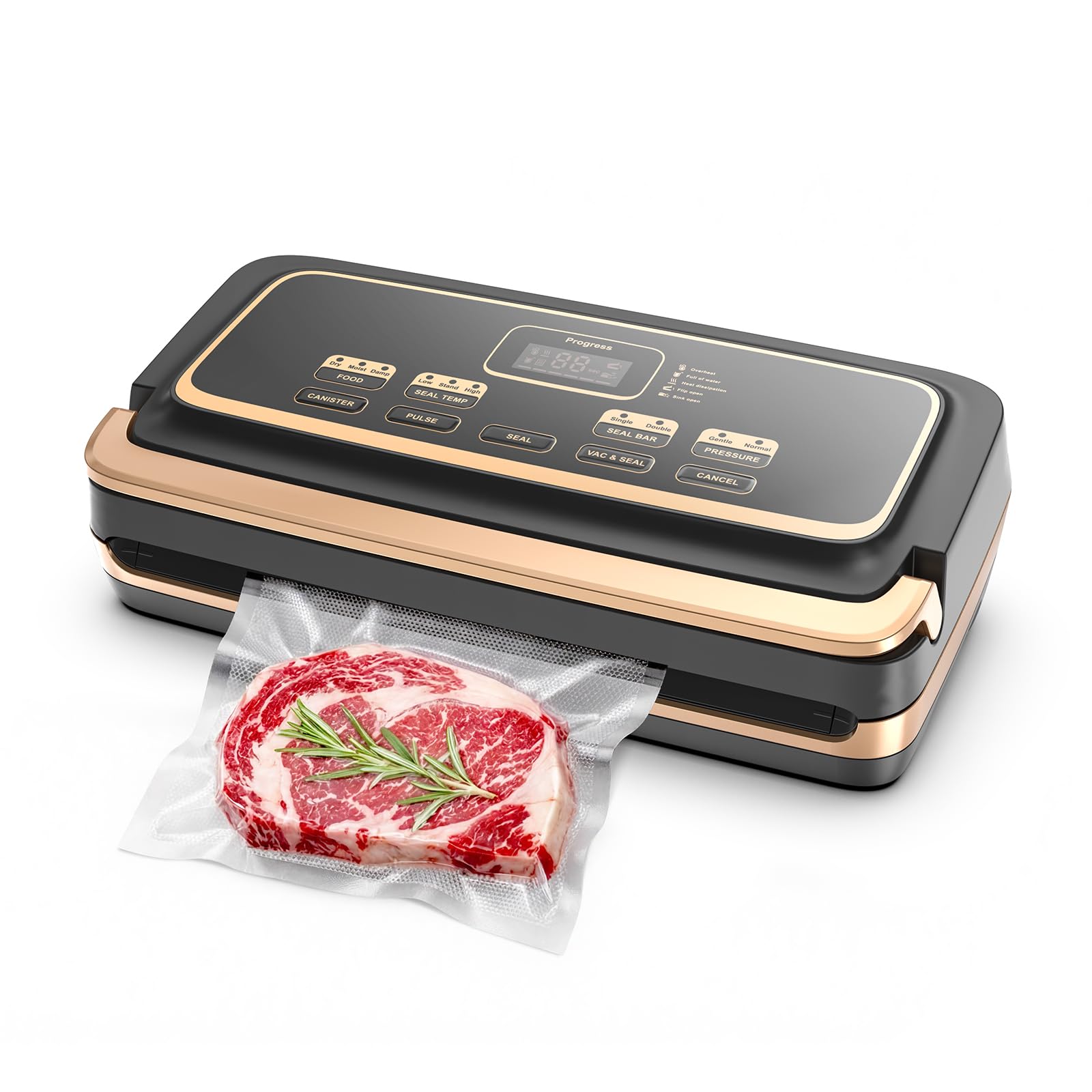 Machine à emballer sous vide, double thermoscellage pour aliments secs