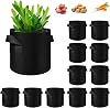 12 Pack 10 Gallon Plant Grow Bags, Thickened Nonwoven Fabric Pots with Handles, Vegetable Planter Bags Containers, Cloth Planters for Garden VegetableFlowerPlantFruits Outdoor