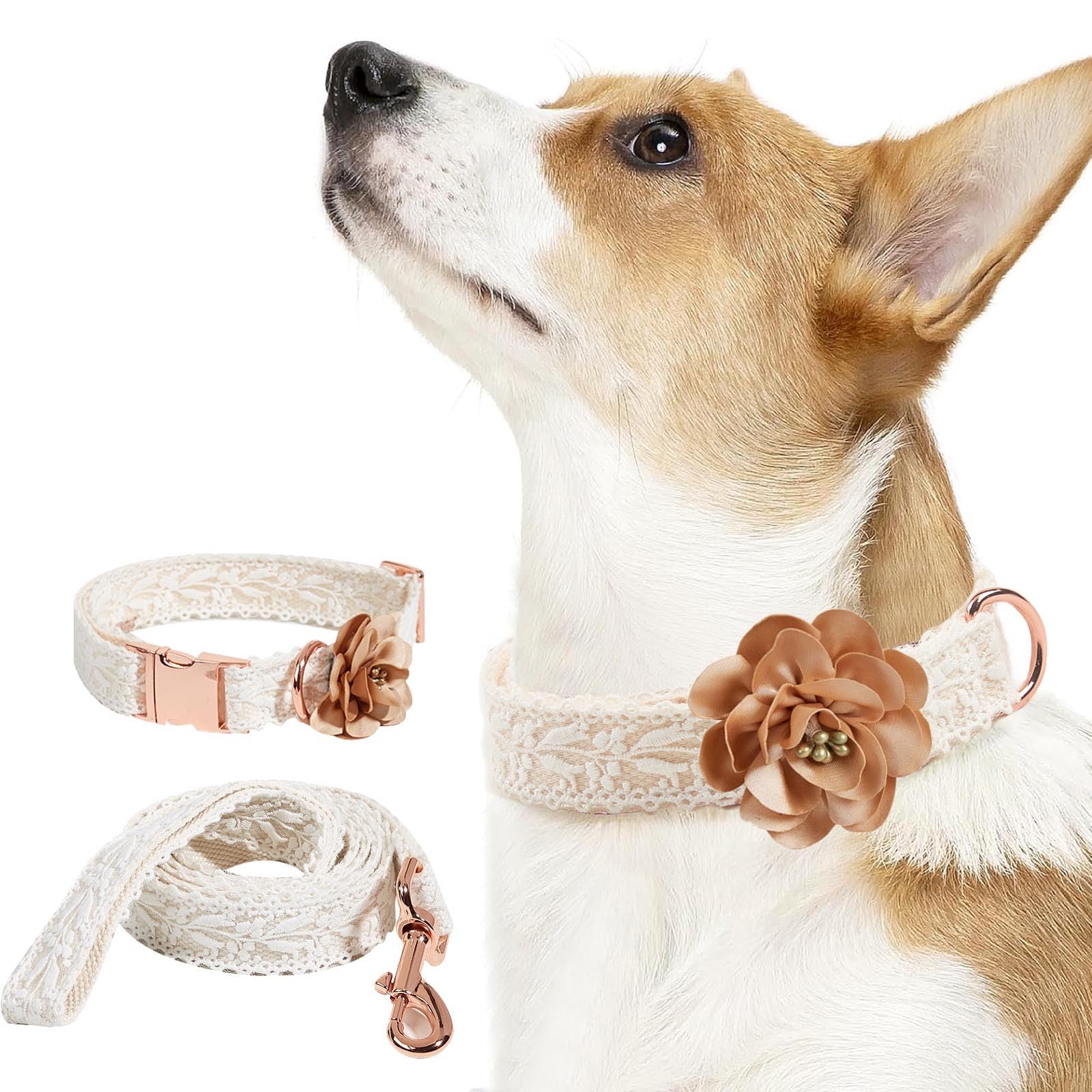 Amazon | UOSIA 犬用首輪とリードセット 女の子用 コットンレース犬用 