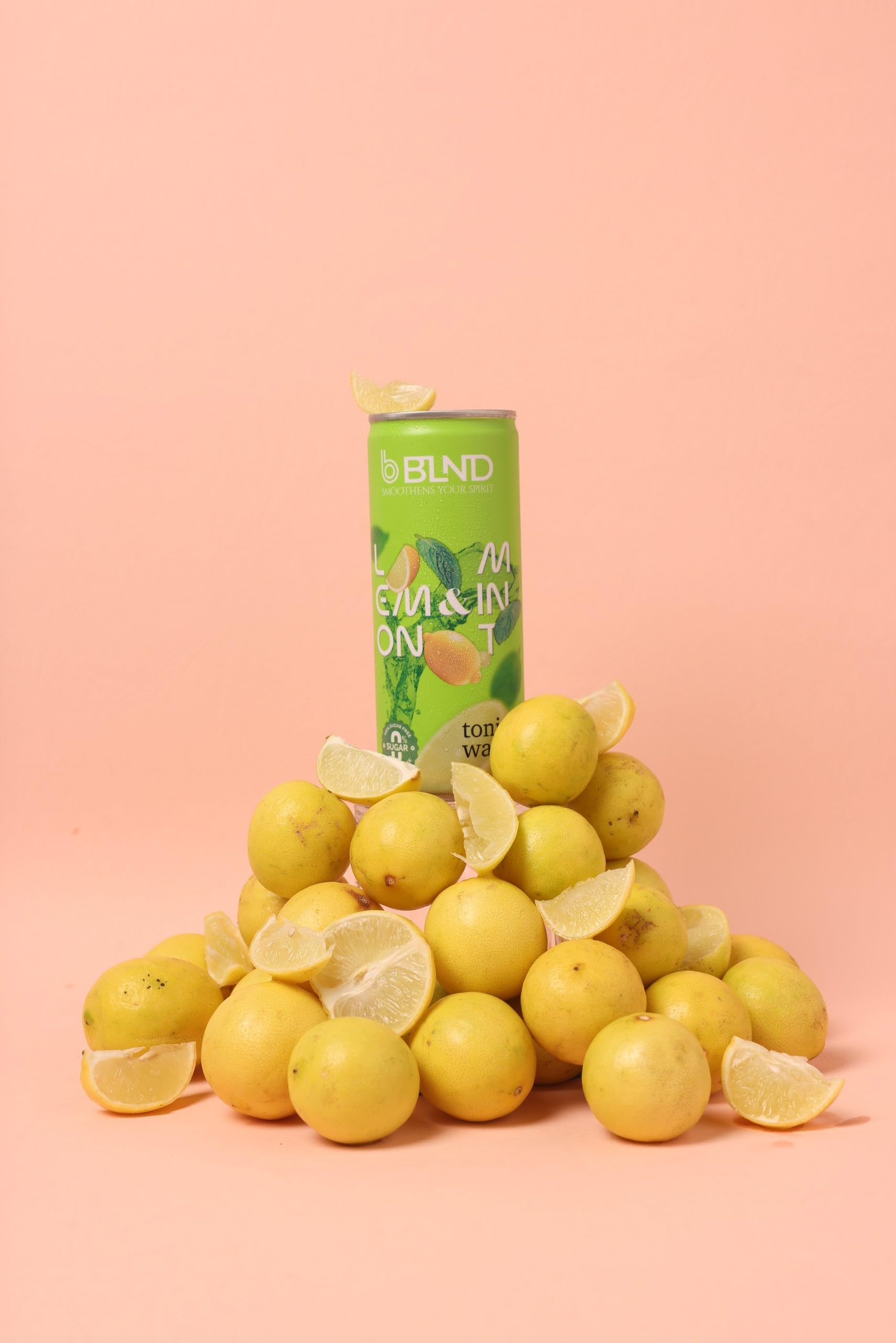 BLND Lemon and Mint Tonic water | Pack of 8 | No Sugar | Low Calorie | Party Mixer | (B0DCHHRHRX) Amazon Price History, Amazon Price Tracker