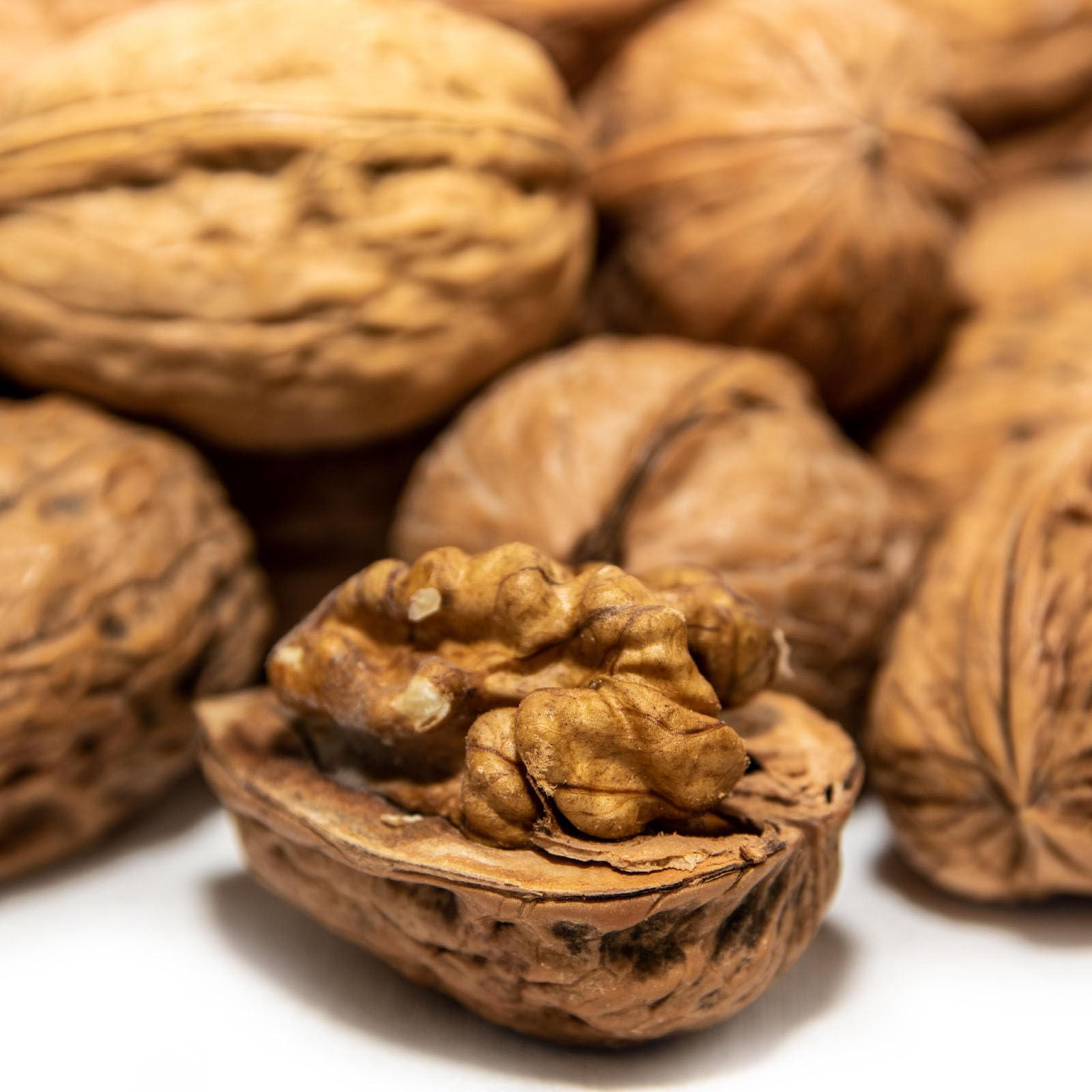 Paul´s Mühle Walnüsse in Schale Grenoble Speisequalität 5 kg Neue Ernte 2025