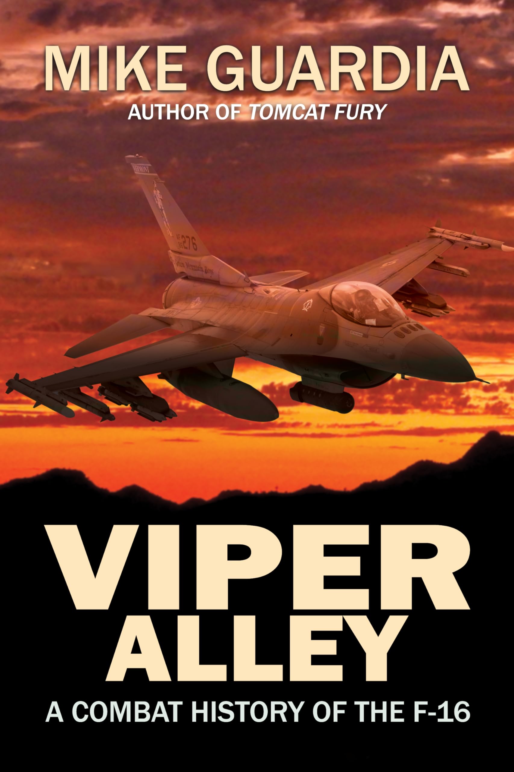 Viper Alley: A Combat History of the F-16