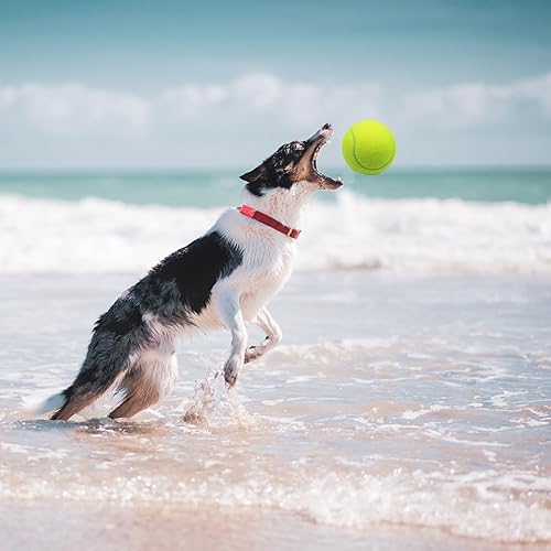 Miniatura 7 de Magicorange Pelotas de tenis grandes para perros, paquete de 6 pelotas de tenis grandes de 4 pulgadas, juguete masticable para mascotas, pelotas