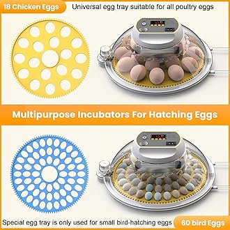 Incubator for eggs