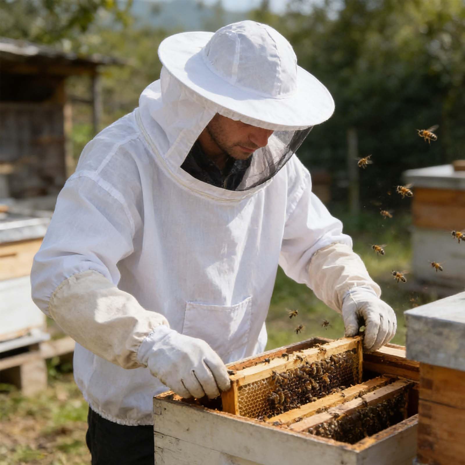 Combinaison D'apiculteur, Costume D'apiculture Professionnelle, avec des gants de protection, assurer la sécurité des apiculteurs, prévention professionnelle des piqûres d'abeilles, unisexe