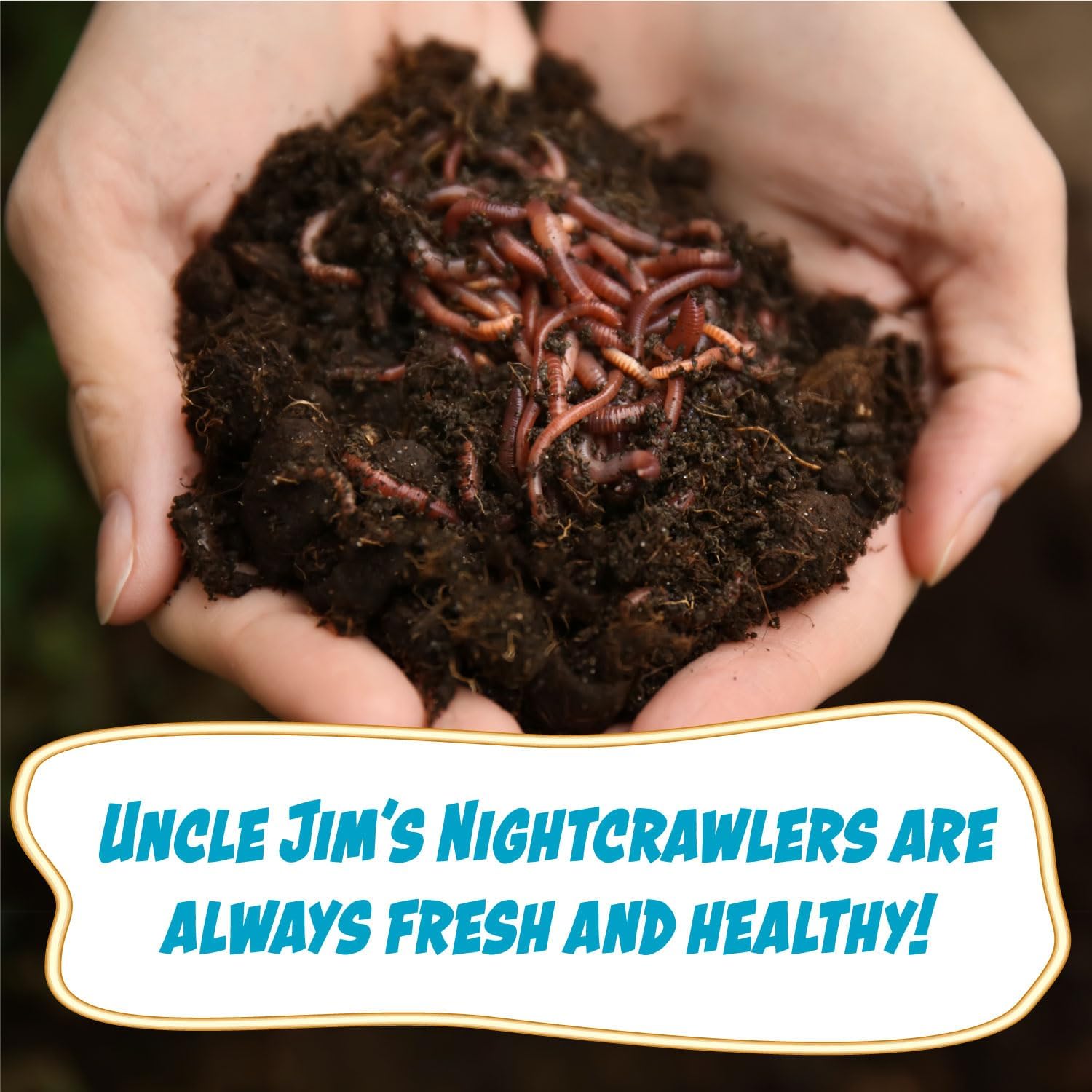 What Are The Different Types of Nightcrawler Worms? Uncle Jim's Worm