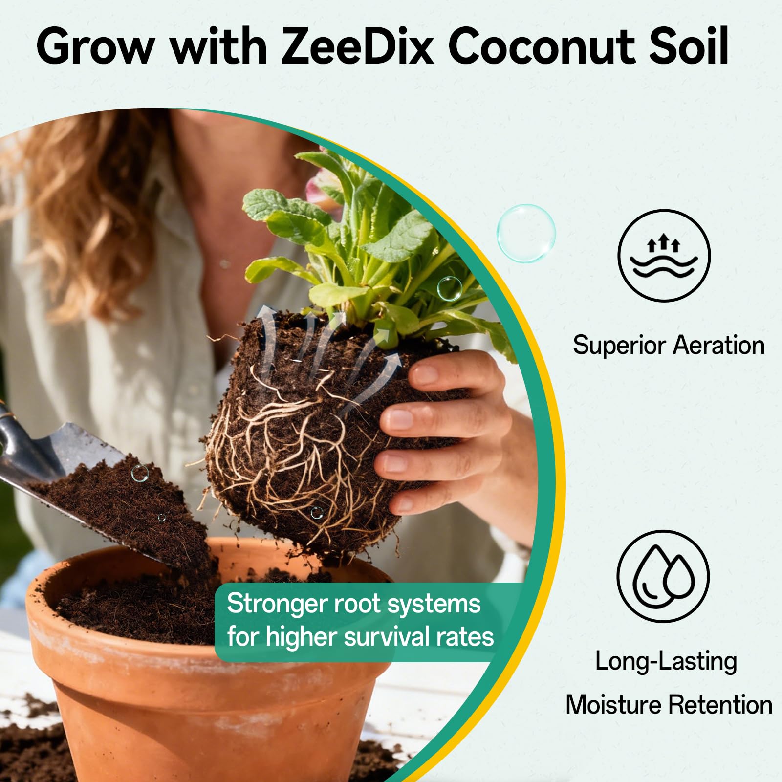 ZeeDix 100 piezas (30 mm) de tierra comprimida de fibra de coco para macetas, fibra de coco mediana, tierra de coco para plantar en interiores o exteriores, bonsái, hierbas, plantas, flores y verduras