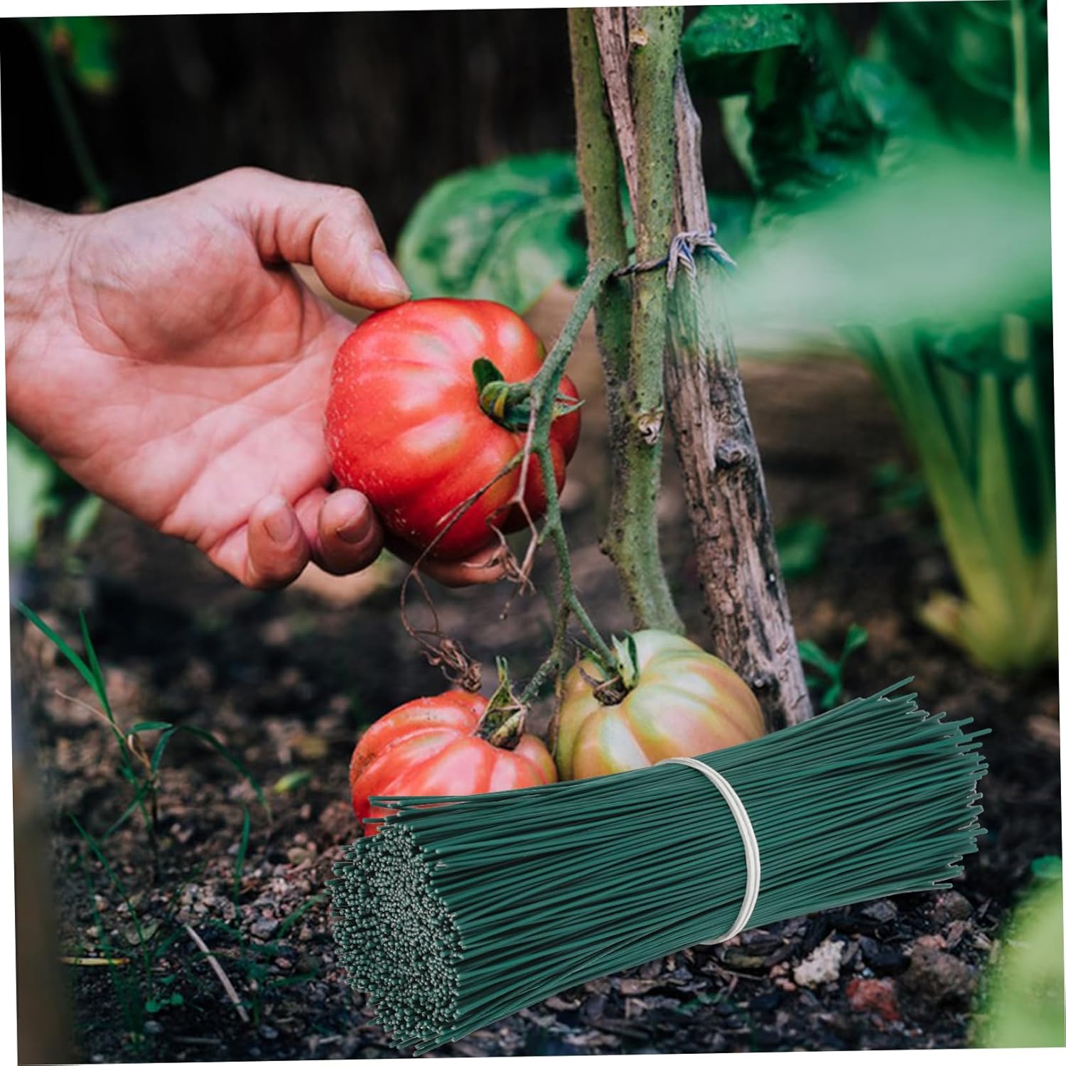 Yardwe 4000pcs Flexible Twisted Ties for Gardening Plant Binding Wire for Tomato Raspberry and Vine Support Reusable Green Plant Fixing Ties