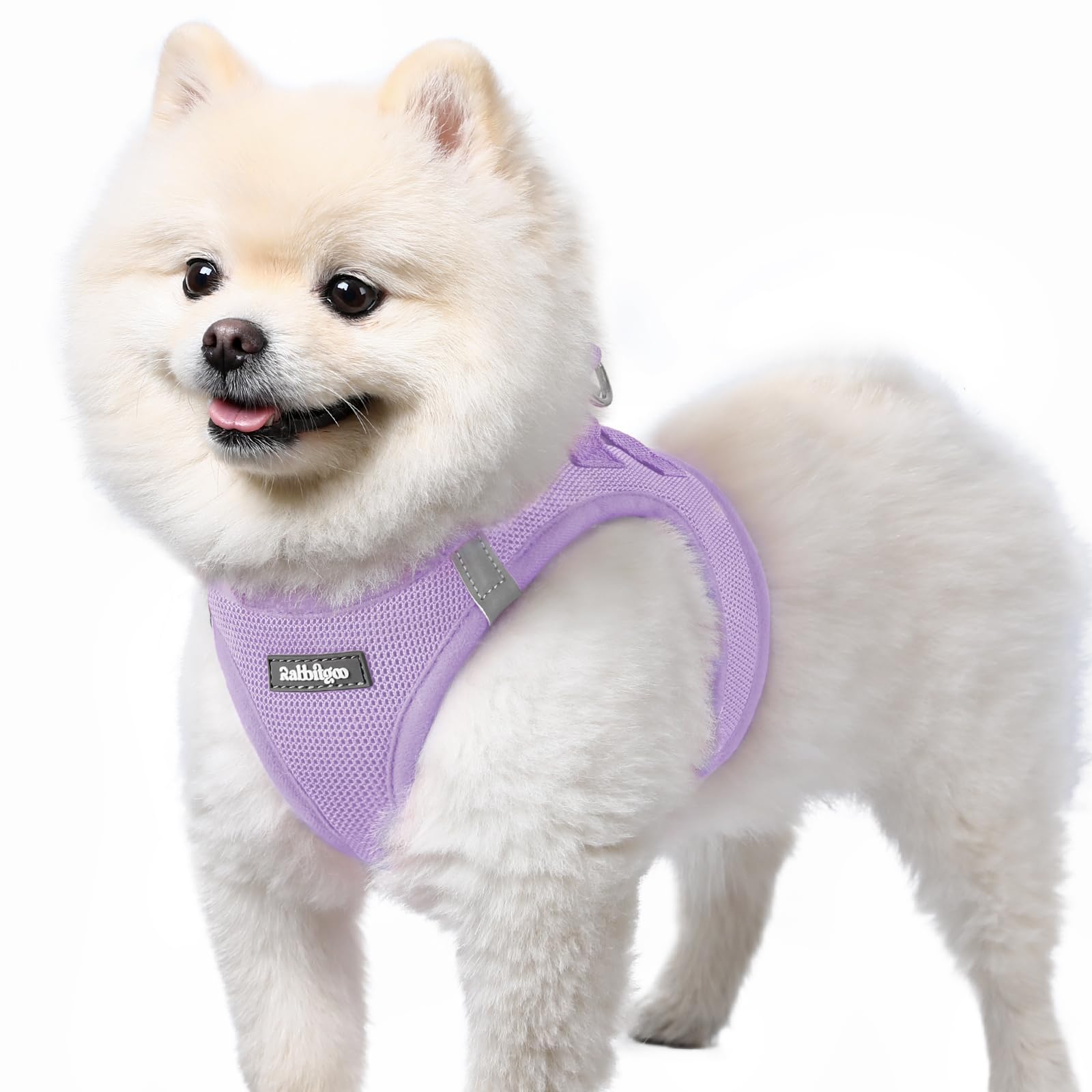 rabbitgoo Hundegeschirr kleine Hunde, Step-in Soft Mesh Hundegeschirr mit Sicherheitsverschluss, atmungsaktives und reflektierendes Welpengeschirr für kleine Hunde