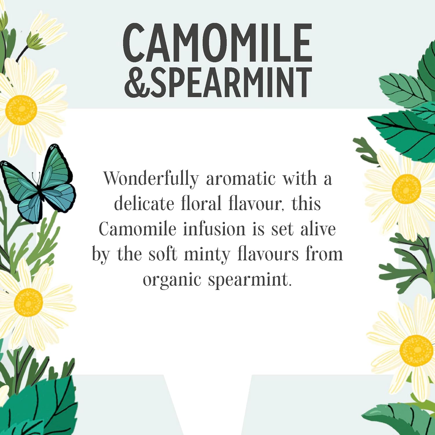 Heath & Heather Camomile & Spearmint Tea 20 Bags