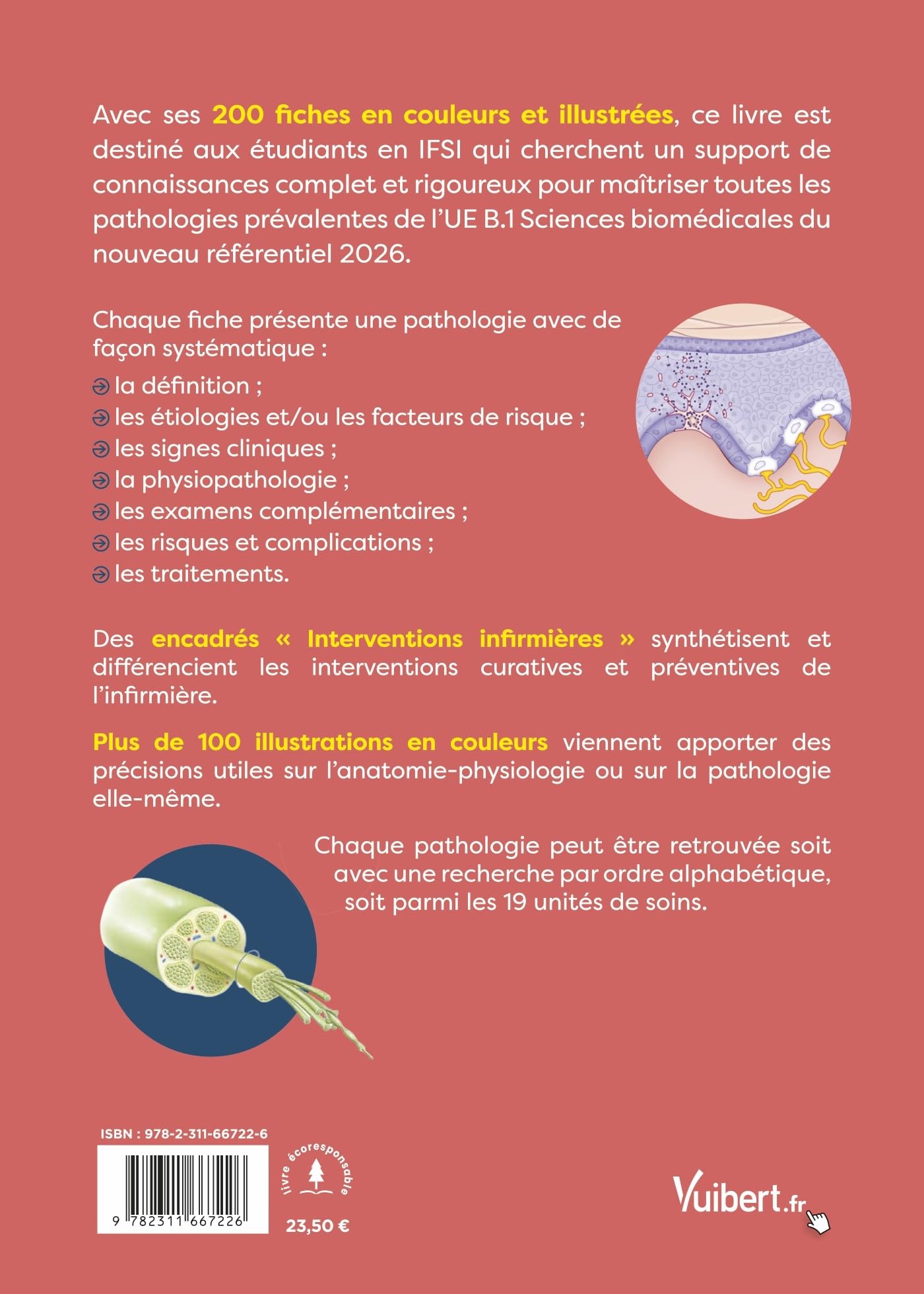 Toutes les pathologies pour réussir en IFSI - Nouveau référentiel 2026 / UE B.1 Sciences biomédicales: 200 fiches classées par ordre alphabétique et par service de soins pour les stages