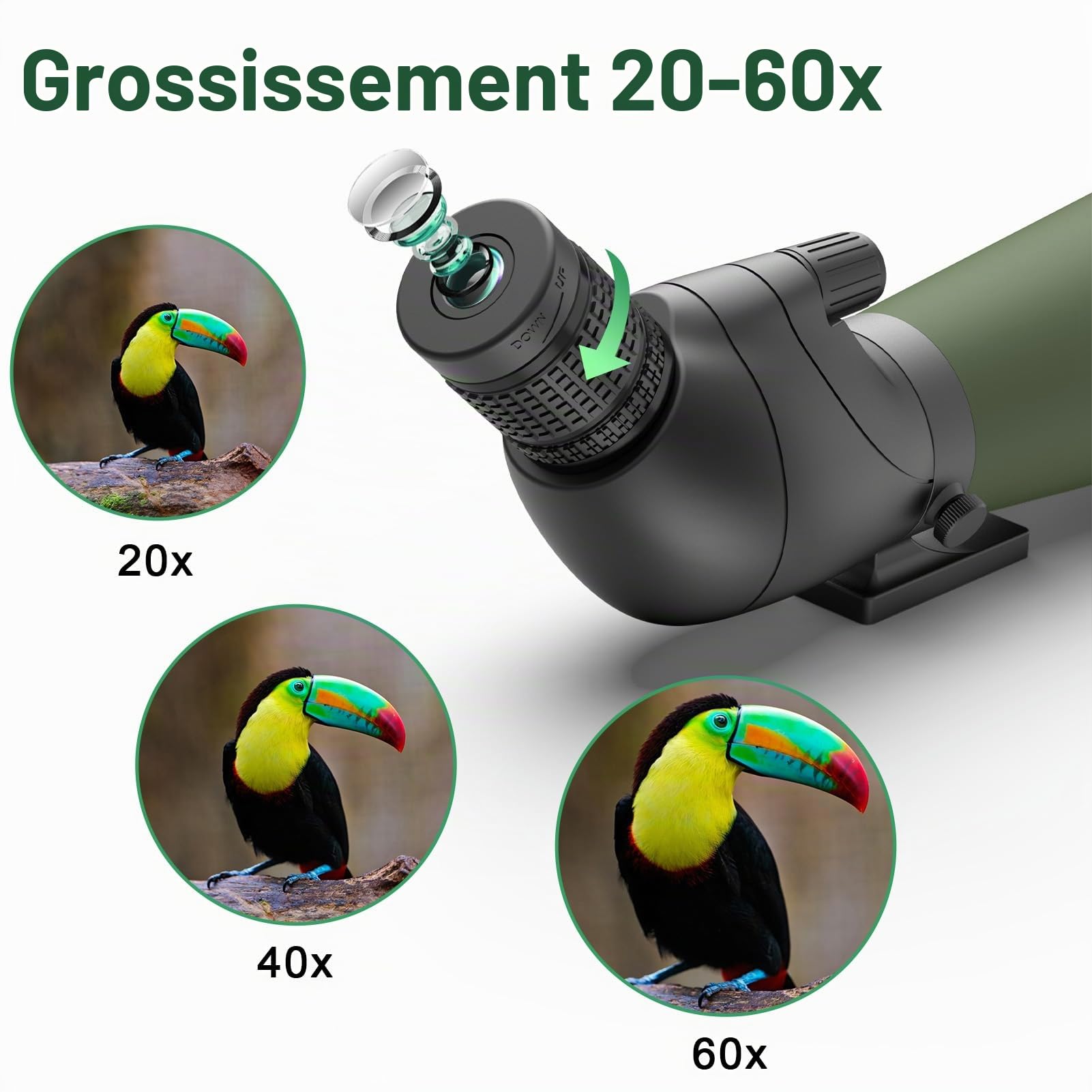 Gosky Updated 20-60x80 Spotting Scopes with Tripod, Carrying Bag and Quick Phone Holder - BAK4 High Definition Waterproof Spotter Scope for Bird Watching Wildlife Scenery1