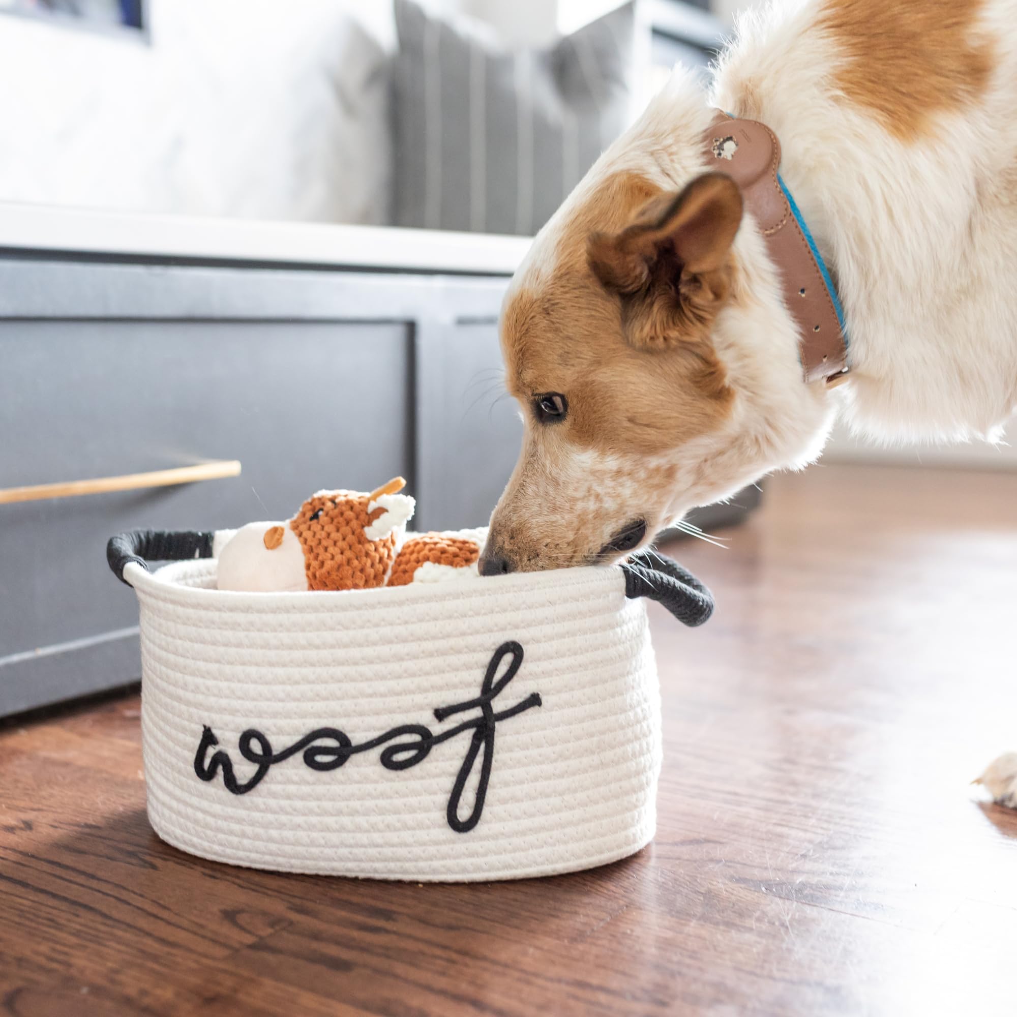 New Puppy Gift Basket - Premium Puppy Starter Kit and Dog Gift Basket with Dog Toys - Perfect Doggie Birthday Gifts and Puppy Necessities with Pet Toy Basket. - image 5