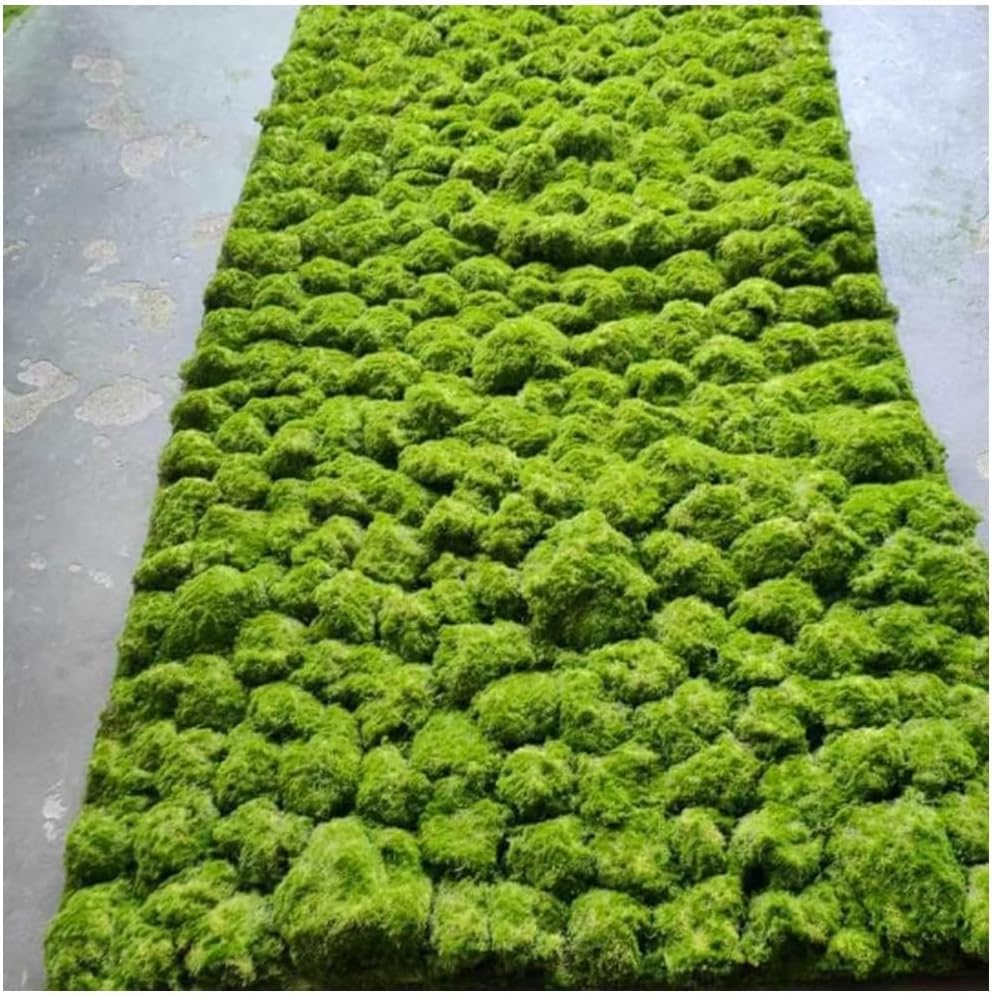 Artificial Moss Decorative Preserved Moss Topiary for Entryway Decor Hotel Lobbies(4 Size)