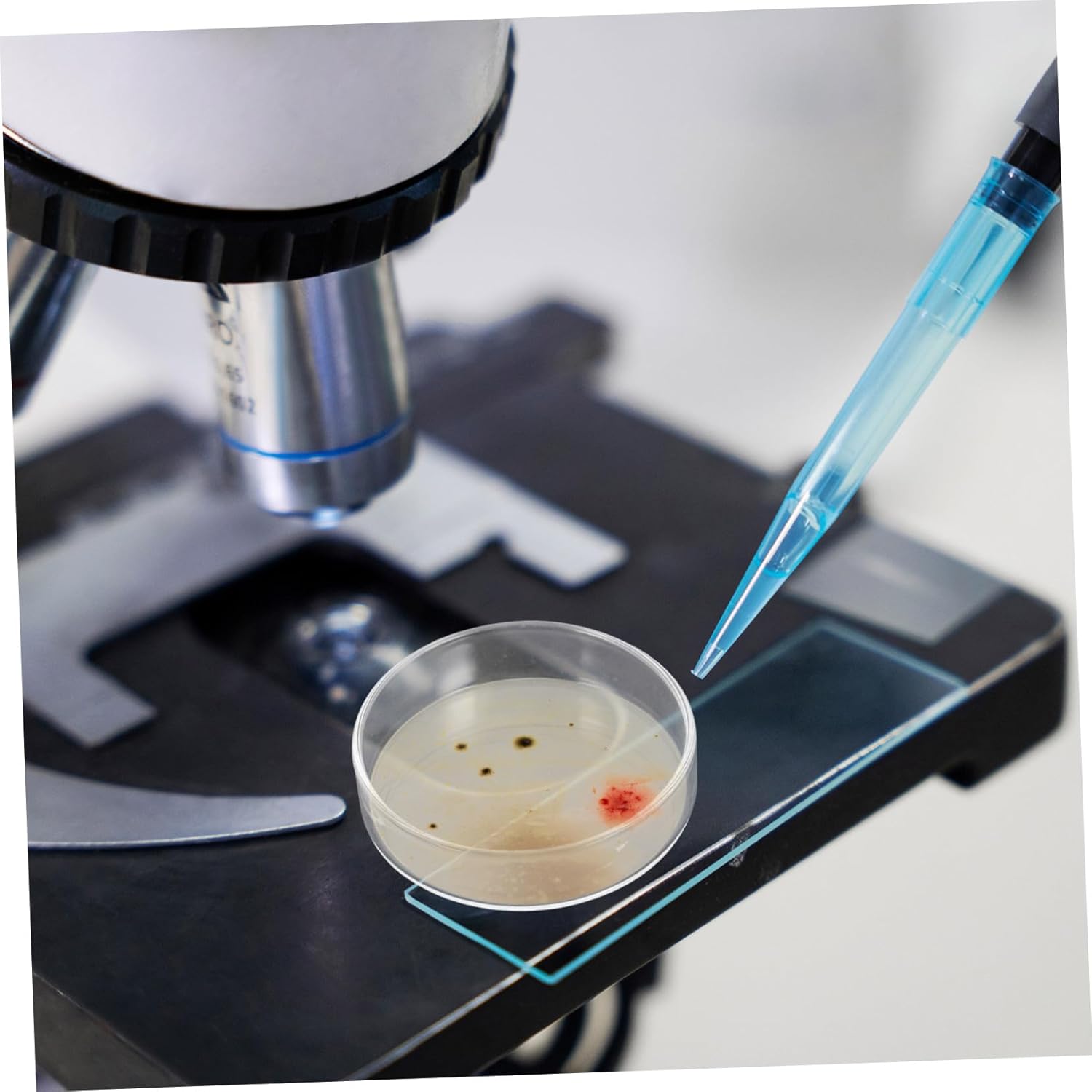 10pcs Lab Glass Petri Dishes Reusable Culture Plates Microbiology Instrument Science Educational Tool