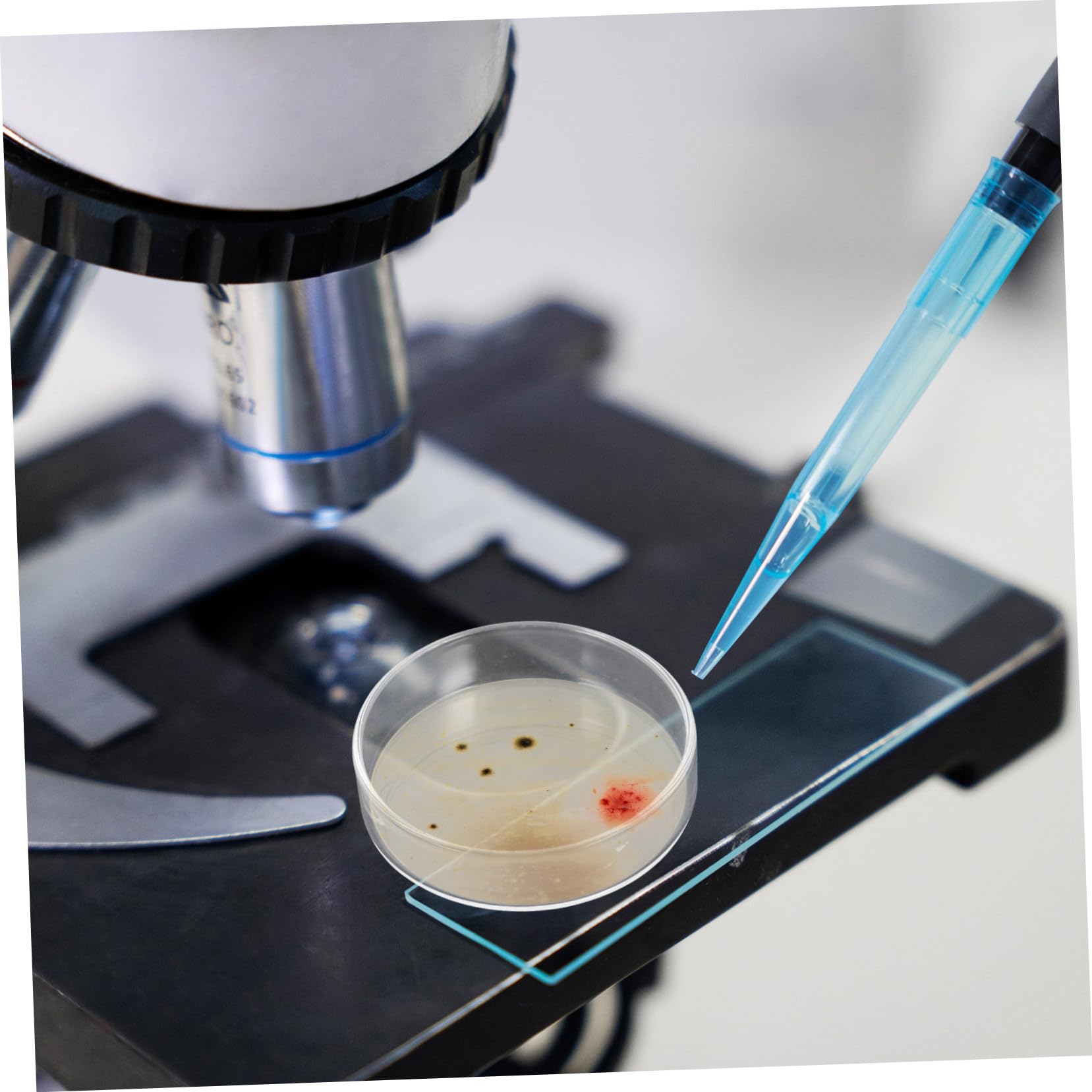 Alipis 10stücke Glas Petrischale mit Deckel für Labor Kulturschale Mikrobiologisches Werkzeug Sterile Platte Nährmedium Verwendung für Wissenschaft und Experimente