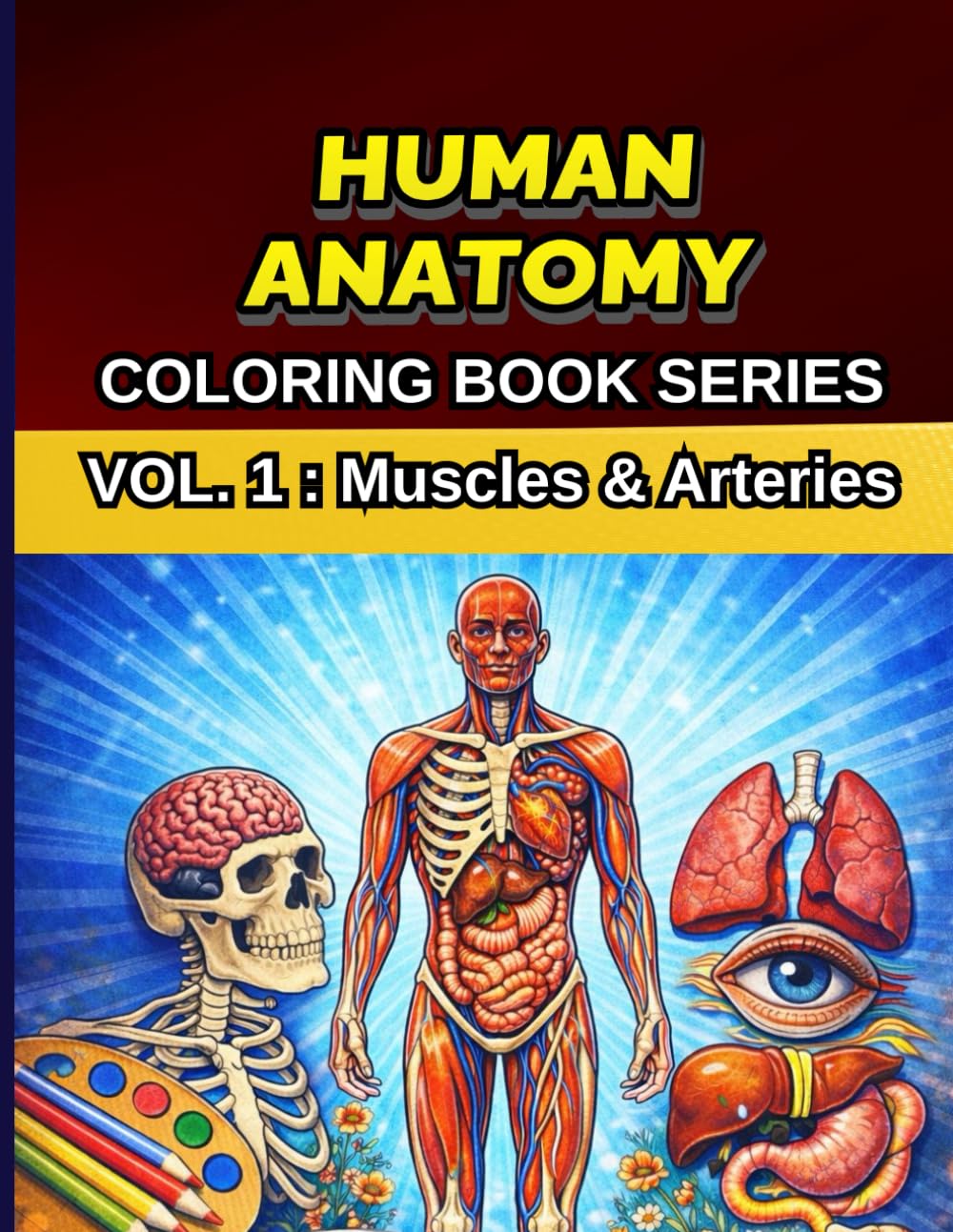 HUMAN ANATOMY Volume 1: Muscles & Arteries: A Detailed Anatomy Coloring Book for Medical Students , Nursing Students and Anatomy Study - Learn Muscles and Arteries Visually