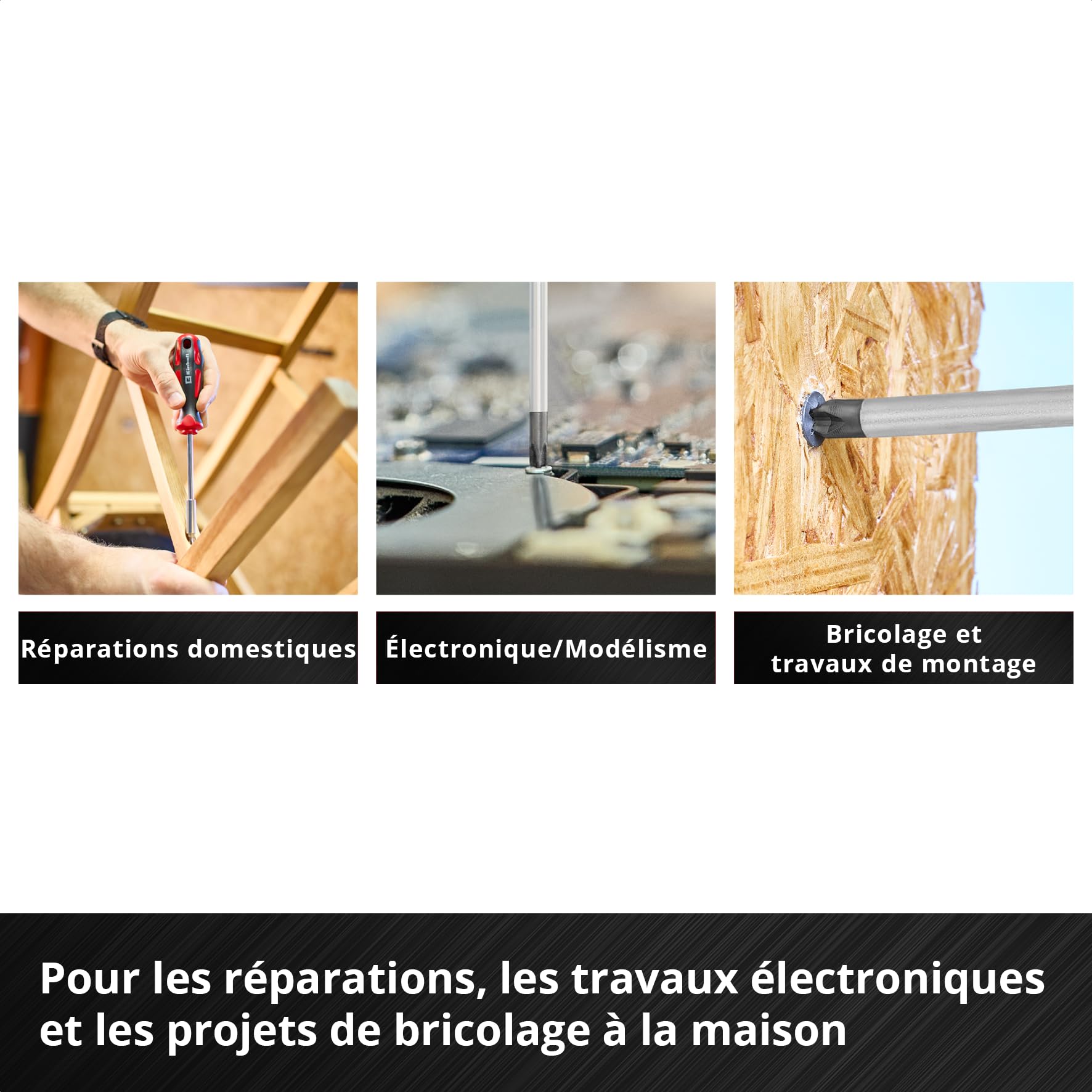 Einhell E-Case insert d’outils 17 pièces avec jeu de tournevis | Tournevis de réglage de carburateur | mécanique de précision | capuchon de frappe | profil Torx | acier CrV | système E-Case