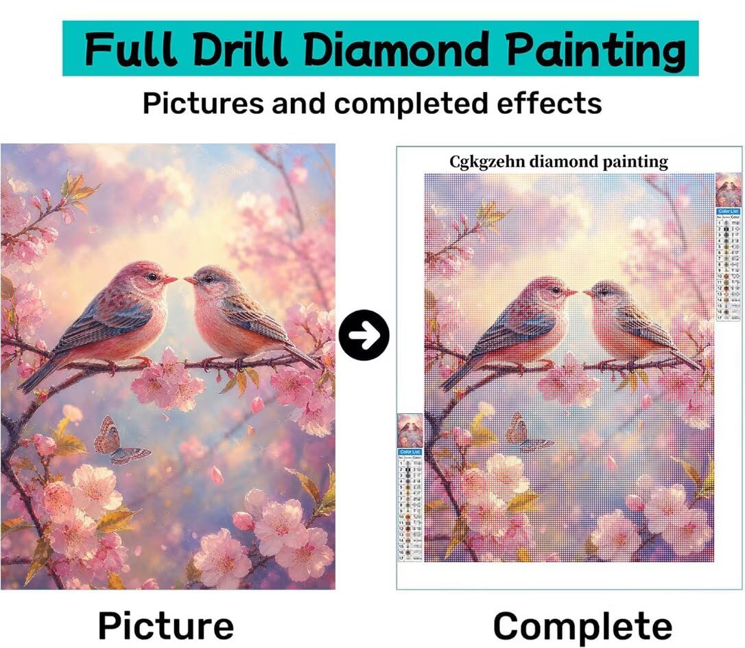 Diamond Painting Aves Kit, Manualidad Creativa y Relajante 60x80cm C8-340