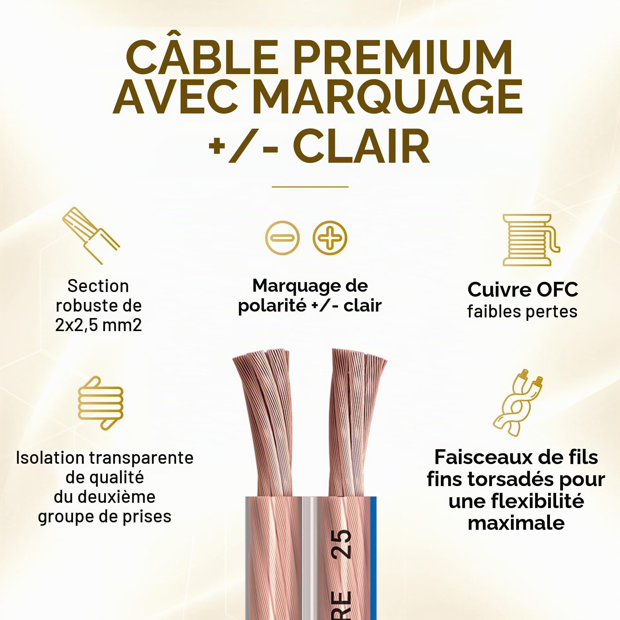 Oehlbach Speaker Wire SP-25 - câble de Haut-Parleur stéréo Hi-FI, câble de Haut-Parleur avec OFC (cuivre sans oxygène) 2x2.5 mm² Mini Coil Speaker Cable - 20m Transparent