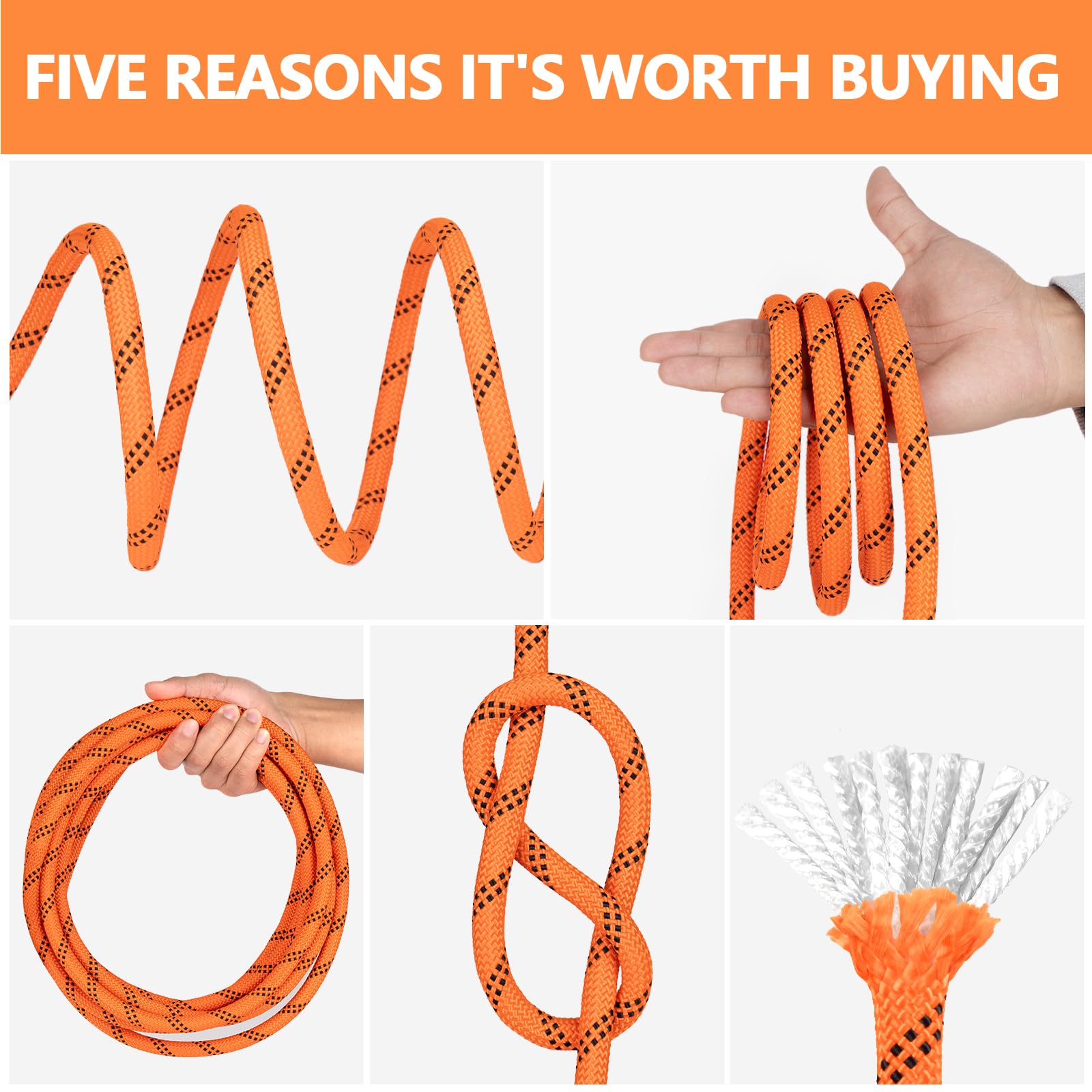 Snapklik.com : Braided Polyester Arborist Rope 3/4 Inch X 170ft, 48 ...