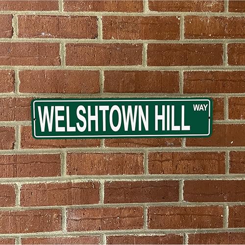 Vista 501 de Ohio Mountains Pick Your Mountain Compatible/repuesto para Ballards Hill United States Mountain Aluminio Metal Tin Street Sign Style decoración