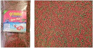 Gemma Gold Fish Japon Balıkları ve Aslanbaşlar İçi