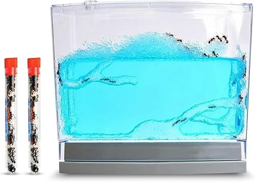 Live Blue Gel Hábitat enviado con 50 hormigas vivas ahora 2 tubos de hormigas