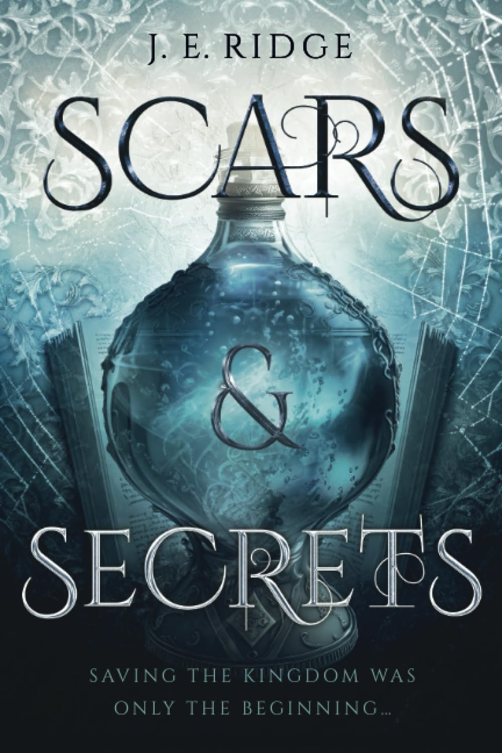 Scars & Secrets: 2 (Shield & Sorrow)