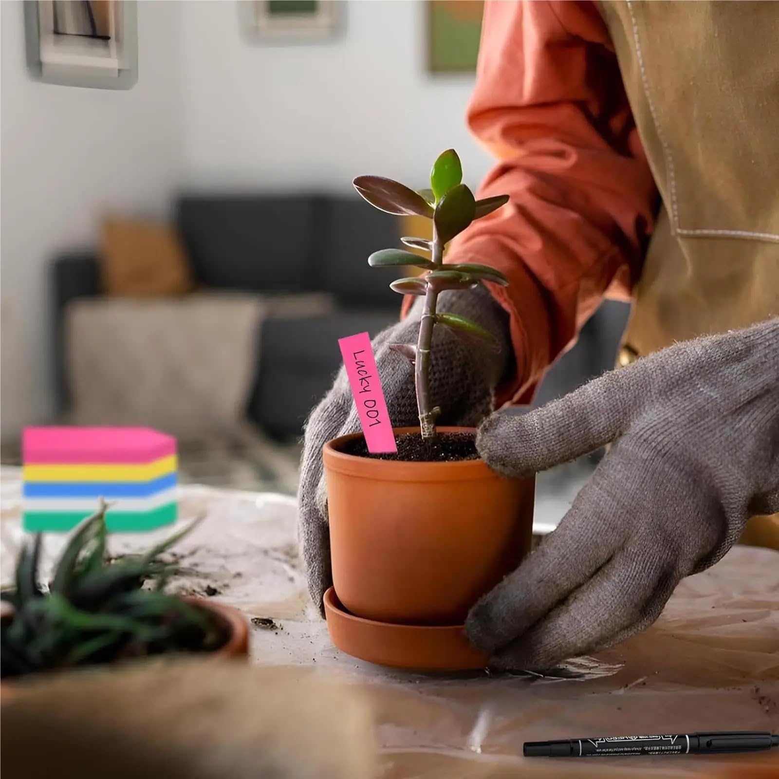 Etiquette Jardin Étiquettes de jardin, signes légumes avec stylo, étiquettes pépinière for fleurs, extérieur, intérieur, serre, cour, Patio, lit surélevé, 500 pièces