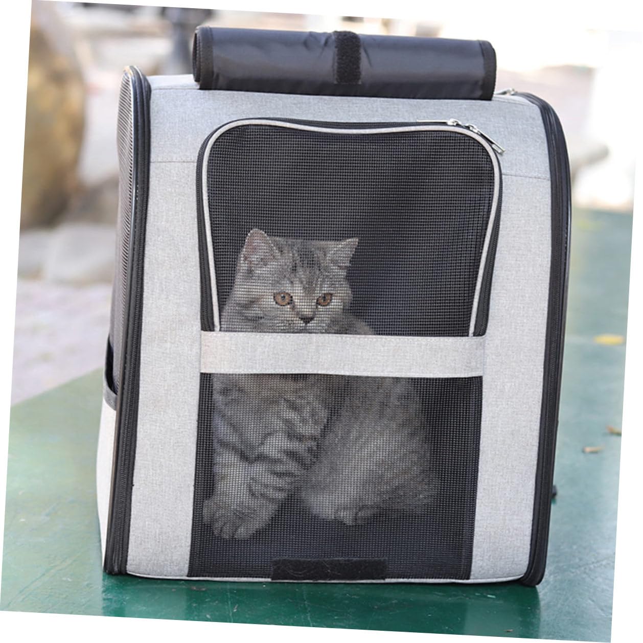 GALPADA Katzentragetasche mit Katzen und Haustieren für Reisen und Ausflüge Atmungsaktive aus Oxfordstoff mit Verstellbaren Schultergurten Großer Kapazität