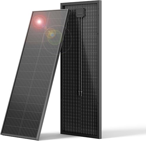Bifacial - Panel solar monocristalino de 100 W, 12 V 100 W, módulo de alta eficiencia, tecnología monocristalina, funciona con cargador para