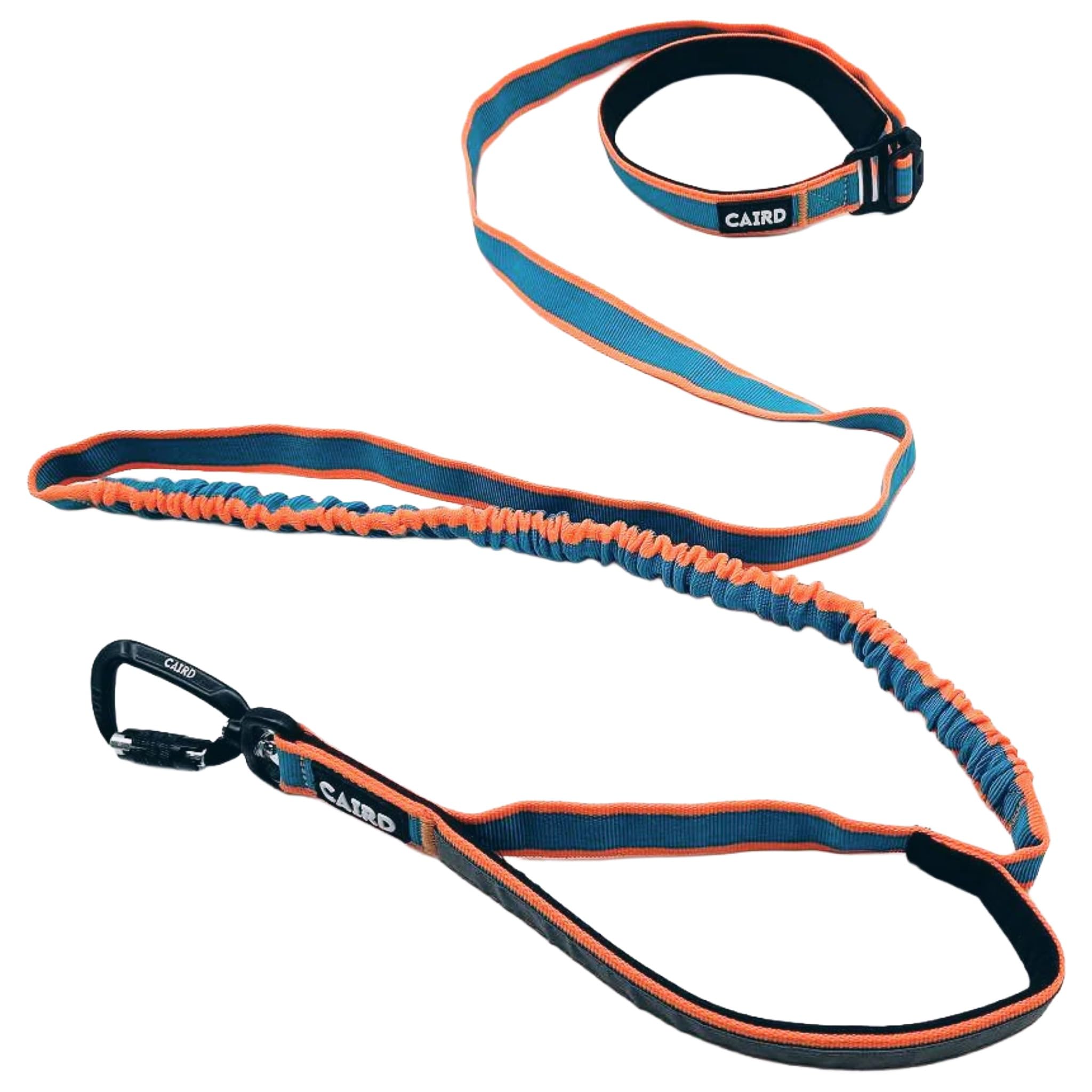 CAIRD Laisse pour chien Bungee Freedom to Run mains libres avec poignée rembourrée, ceinture réglable et mousqueton en aluminium (orange et turquoise)