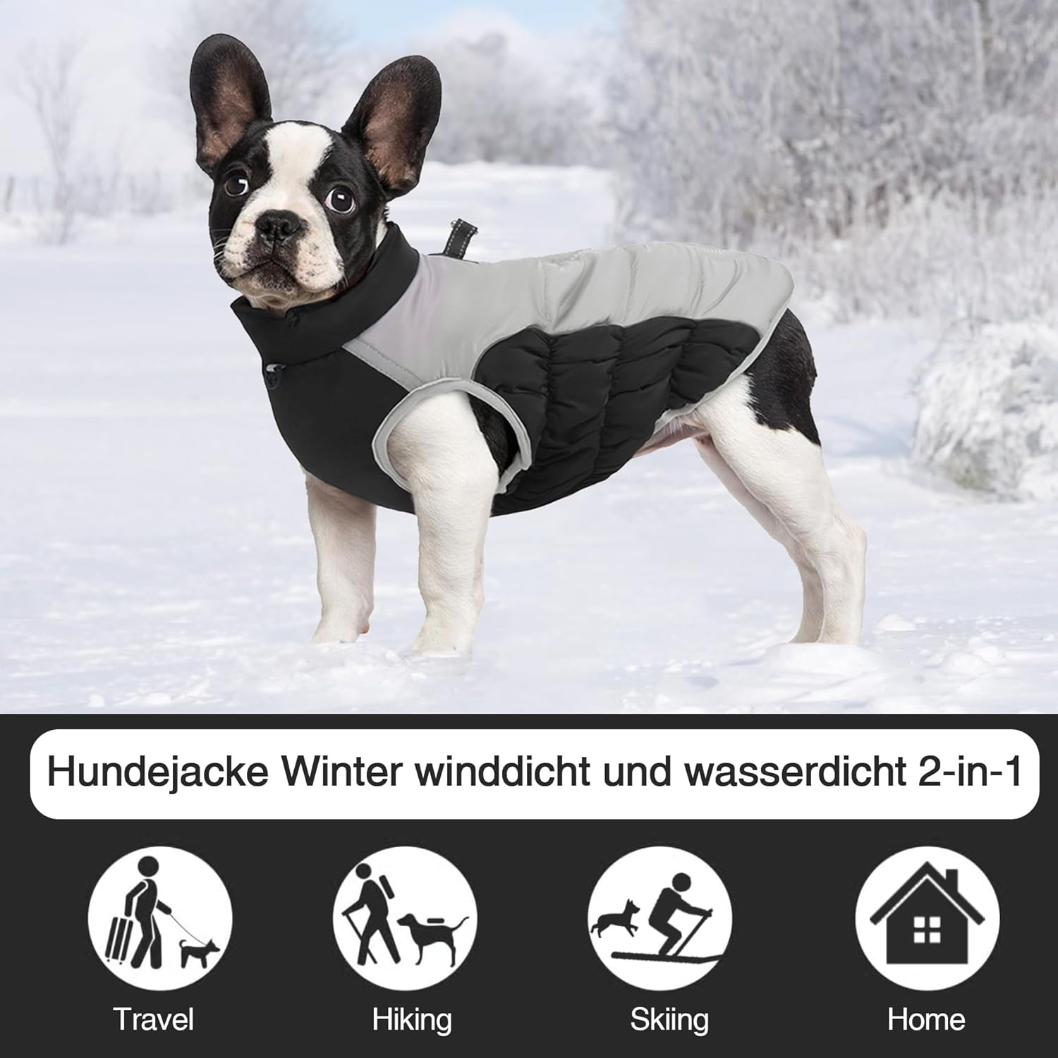 Detaily a vlastnosti kabáta pre psa