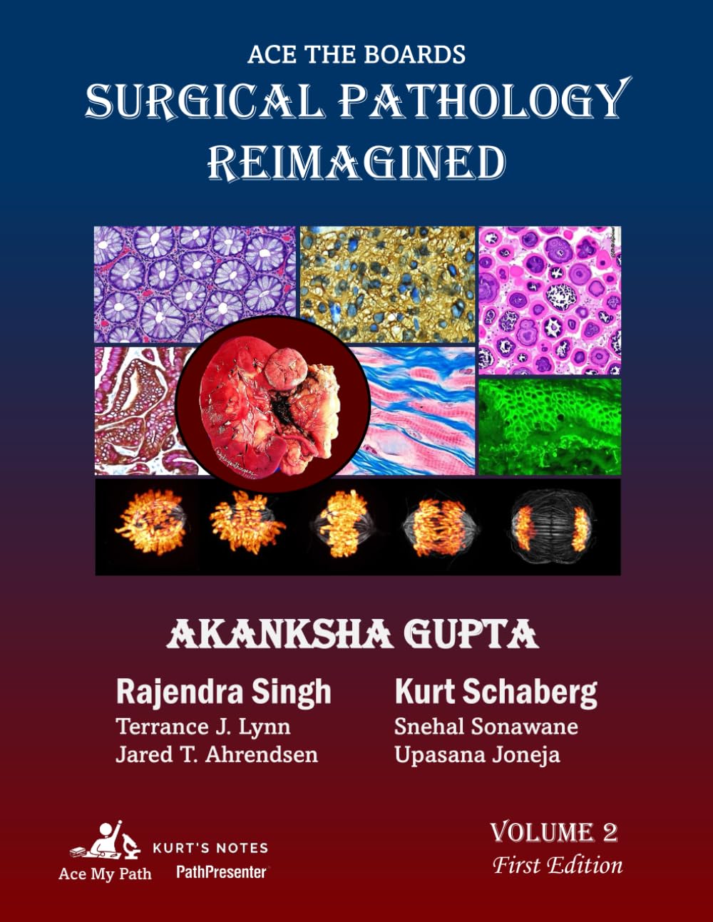 Ace the Boards: Surgical Pathology Reimagined: Volume 2 (Ace My Path) Paperback – October 30, 2022