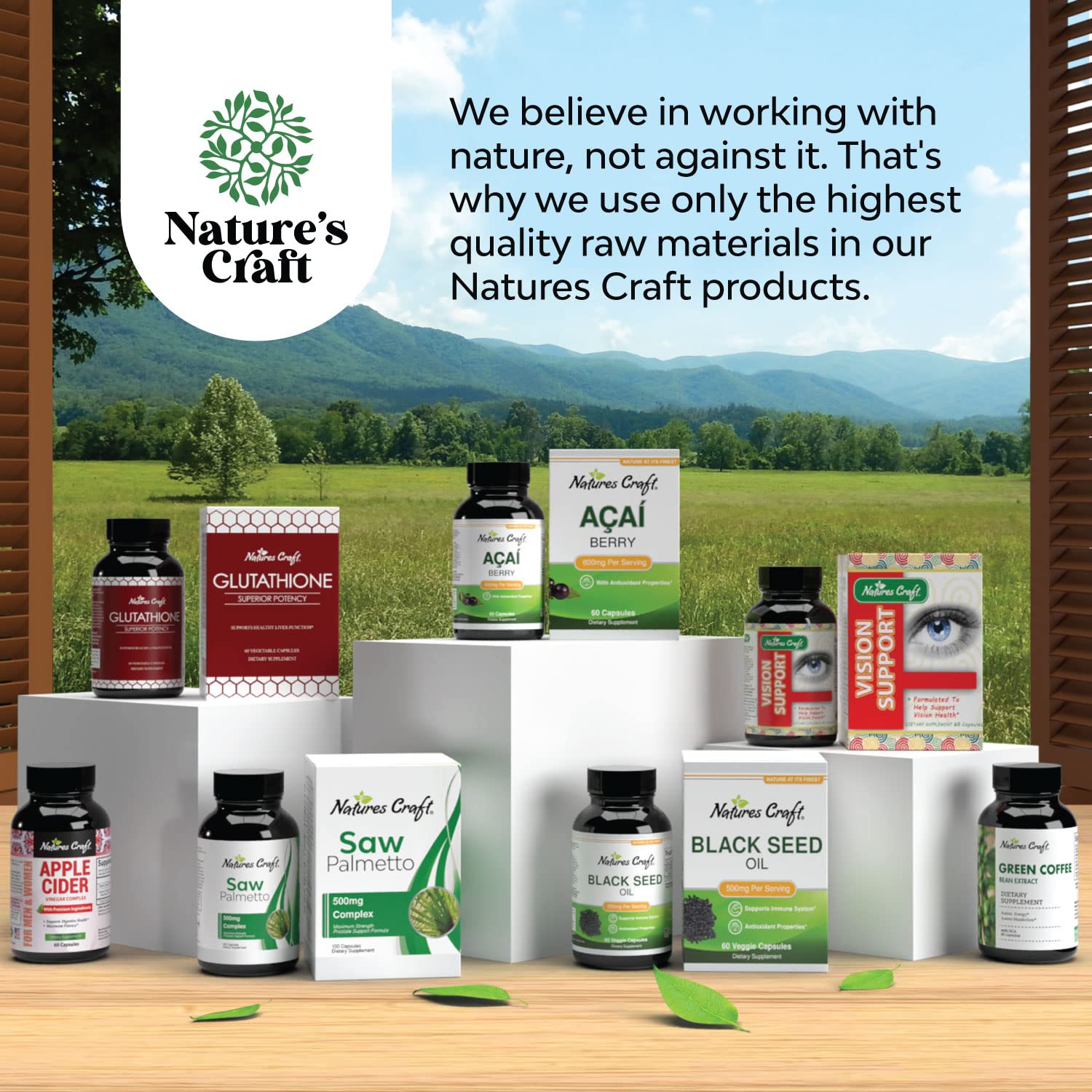 Nootropics Brain Supplement Support Memory Booster for Mind Focus