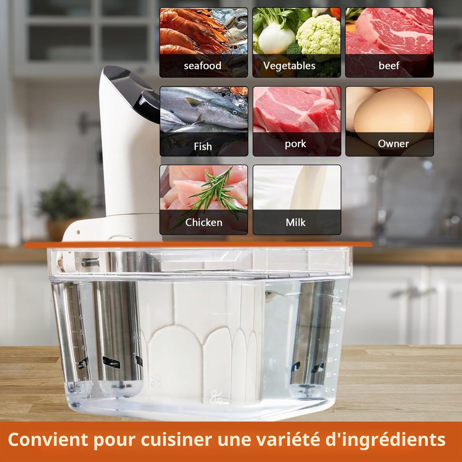 Récipient Sous Vide 12L, Récipient de cuisson sous vide avec couvercle, Couverture Isolante et Grille, pour Cuiseur Sous Vide, Adapté au Poisson, à la Viande et Aux Légumes (sans BPA)