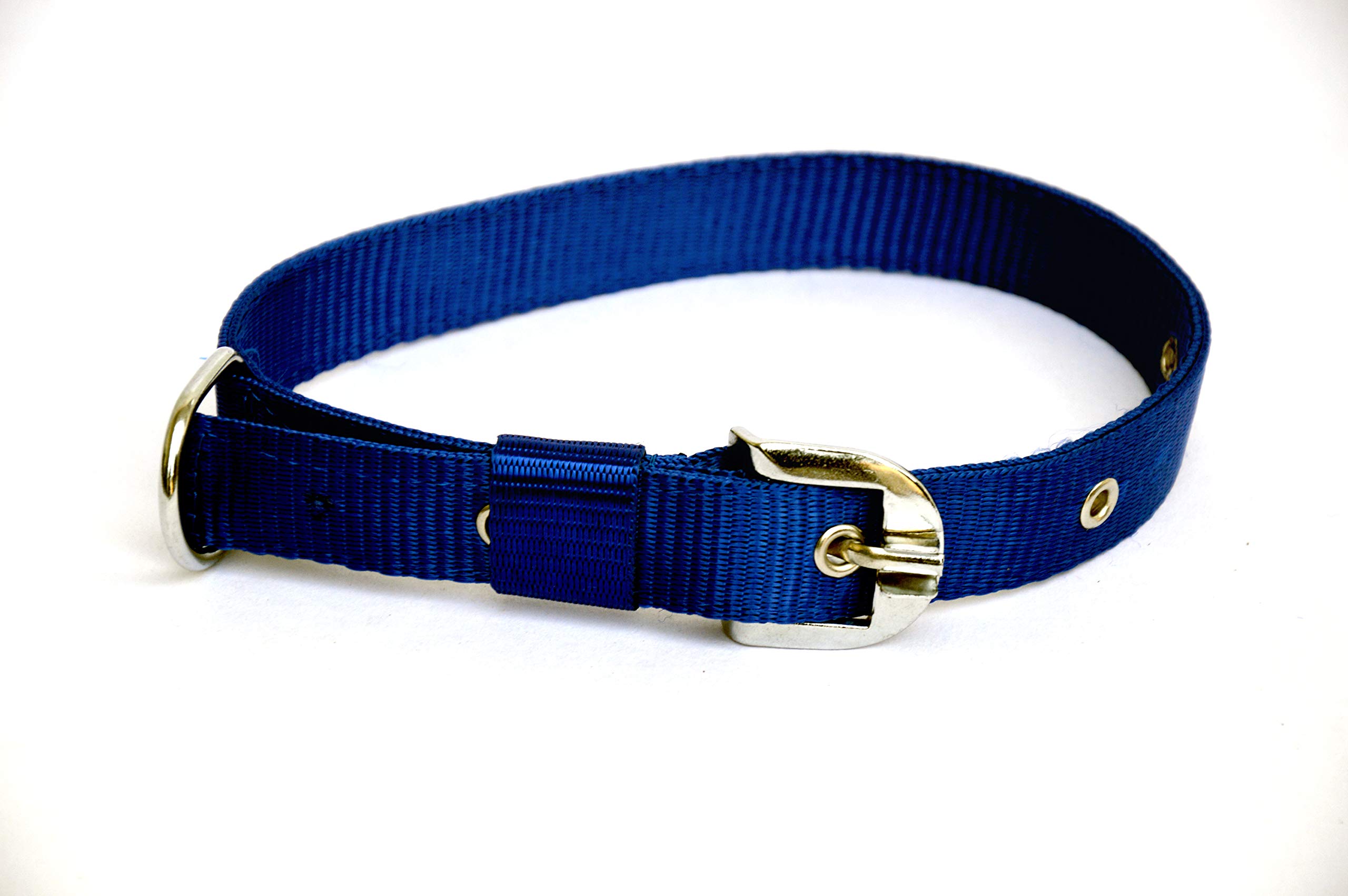 See full amazon price history chart for Dogista pet Products Nylon Collar 1" (Color May Vary) Large Dogista pet Products Nylon Collar 1" (Color May Vary) Large (B083BW8K9D) Amazon Price History, Amazon Price Tracker