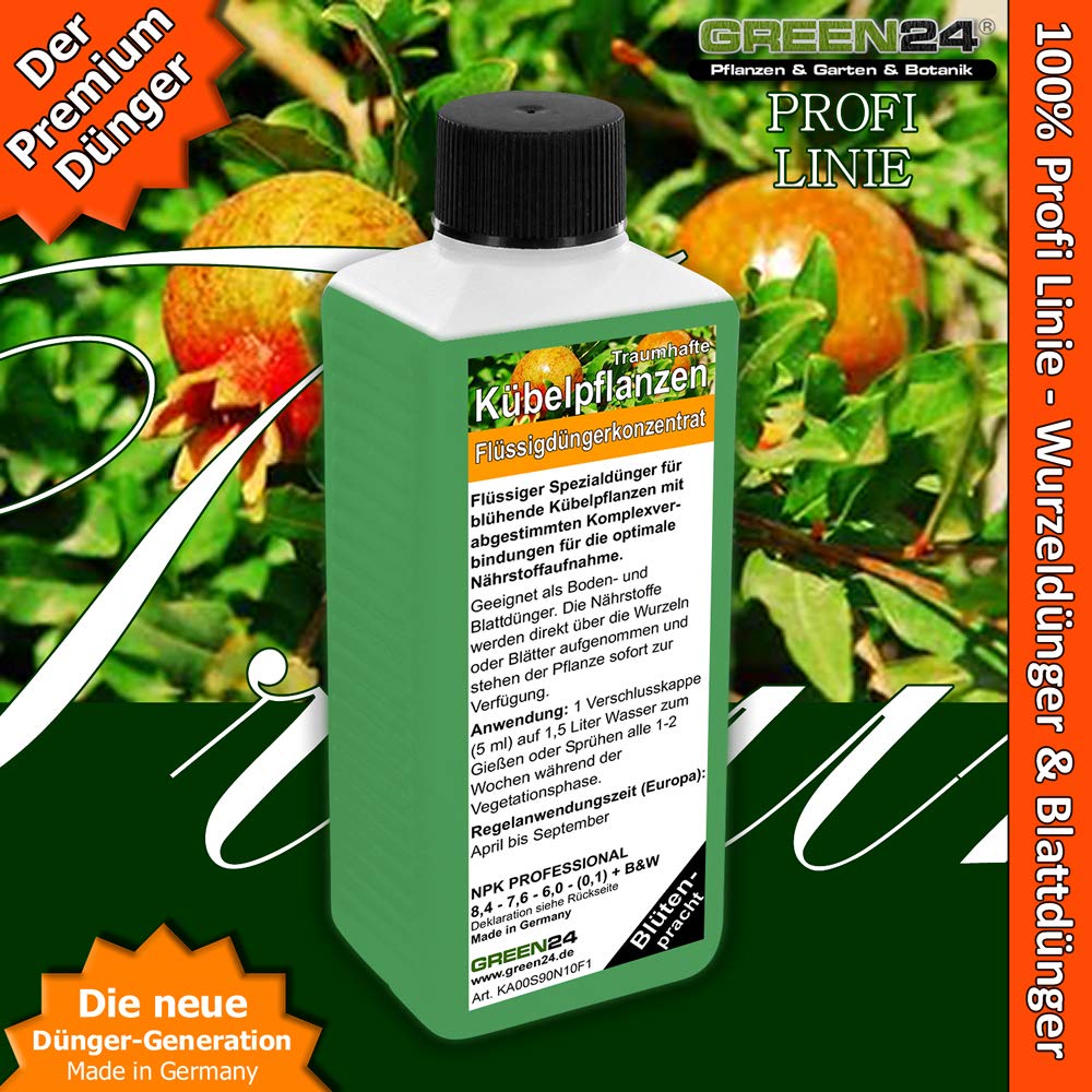 wie oft kakteen düngen Kaktus Dünger von Flora Boost für gesundes Wachstum main image 1