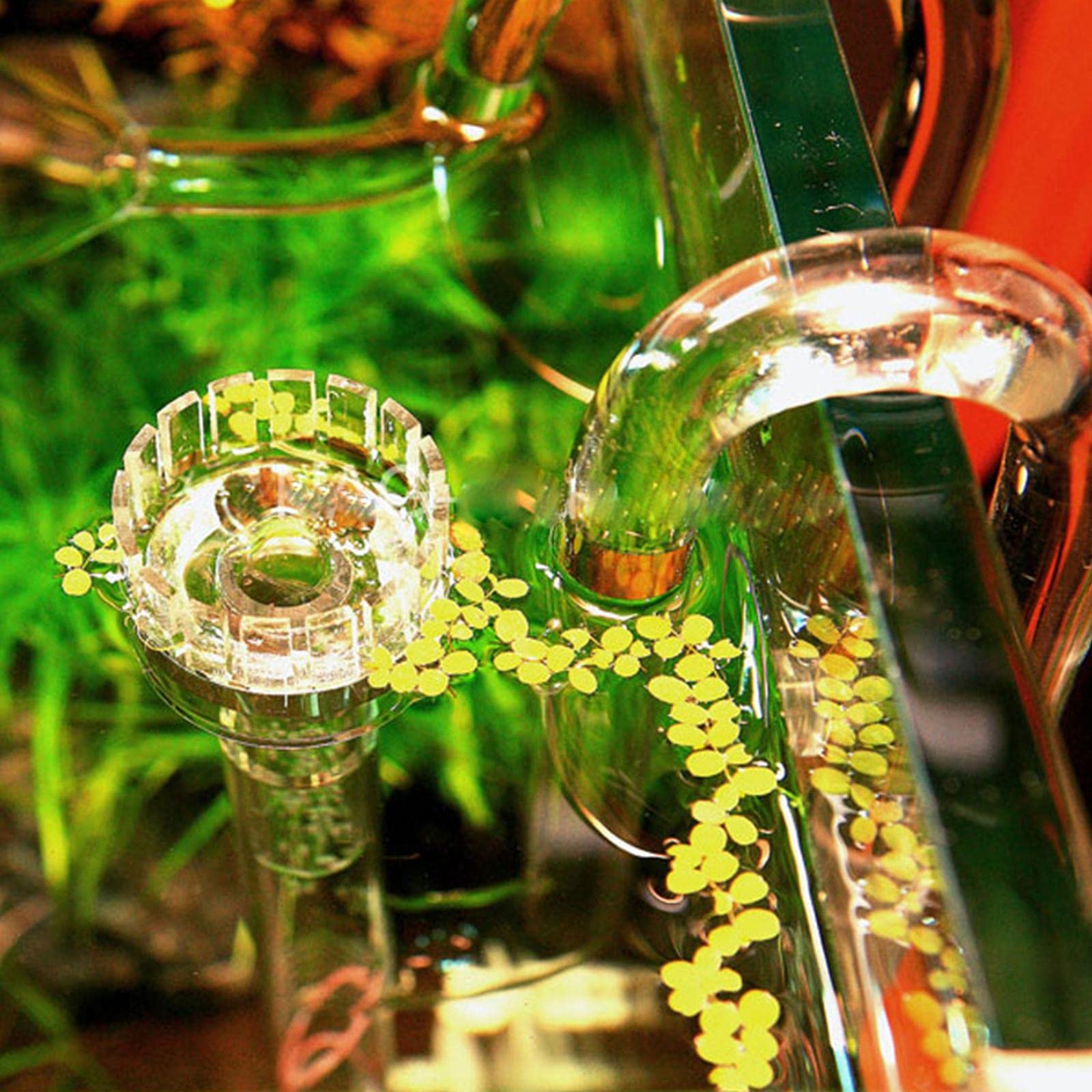 Aquatic Lily Tube Set Oberflächenfilter Aquarium Glas Skimmer Saugnapf Einlassrohr Auslassrohr Isolierend mit Regulierung für Aquarien Pflanzenbecken, Mehrfarbig, 17mm