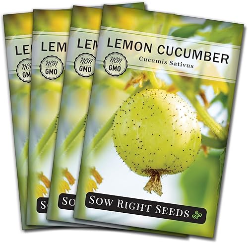 Vista 8 de Sow Right Seeds - Semillas de pepino de limón para plantar - Semillas de reliquia sin OMG con instrucciones para plantar y cultivar un huerto casero