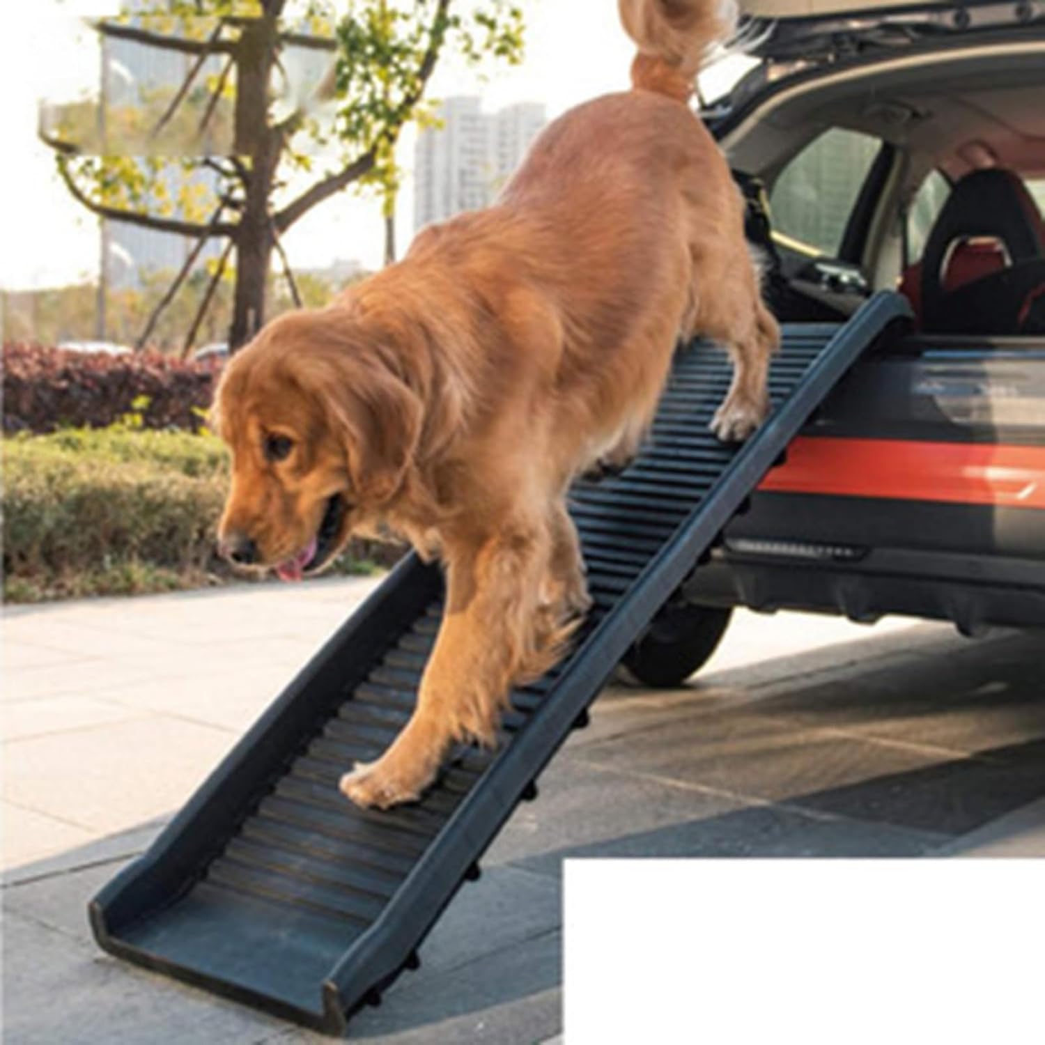 Folding Dog Ramp, Plastic Non Slip Ramp, Grill Surface, Safety Catch Design, Portable Professional for Large Older Dogs