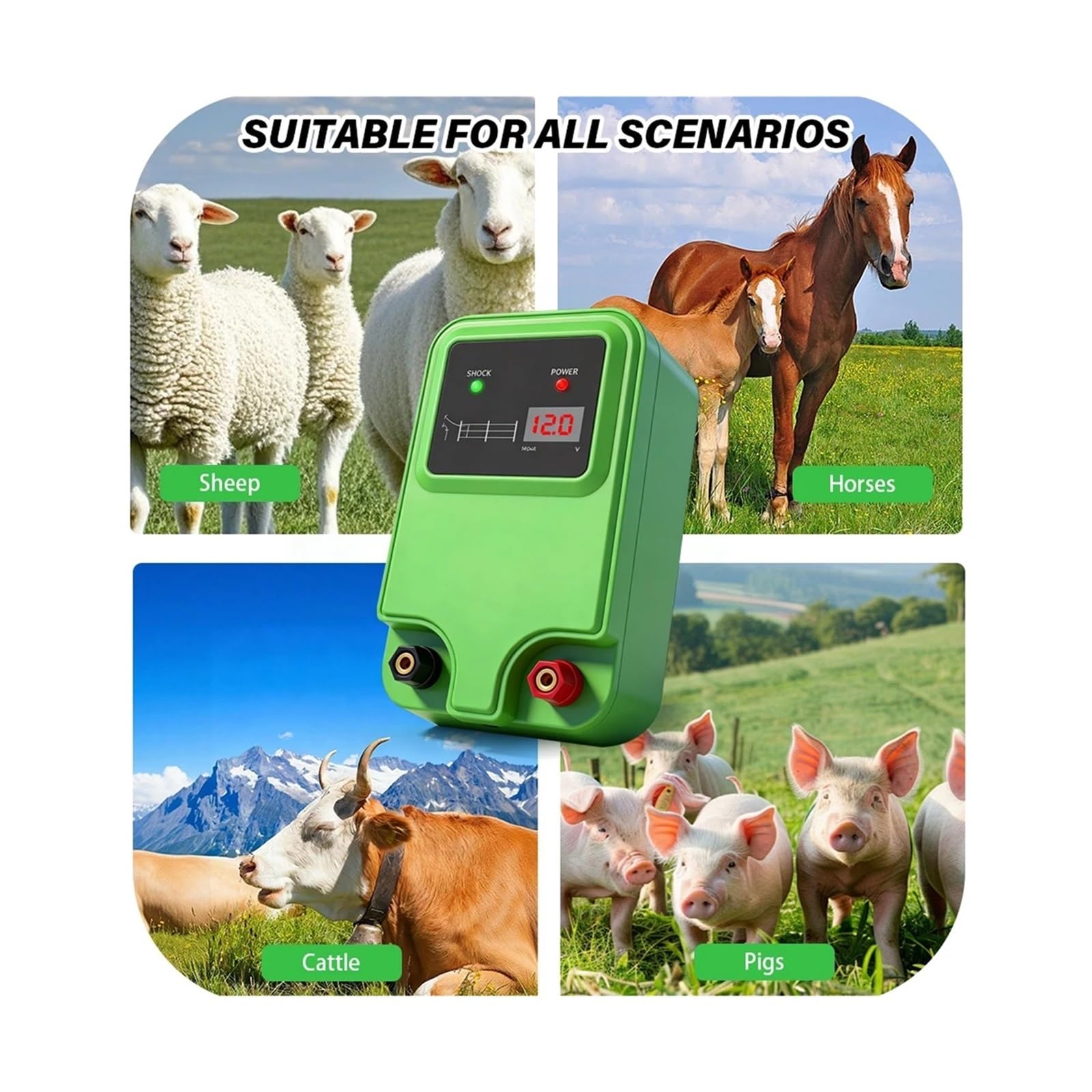 Elettrificatore for recinti elettrici a impulsi ad alta tensione - neratore di controller for recinti for bestiame resistente for recinzioni di ranch da pascolo