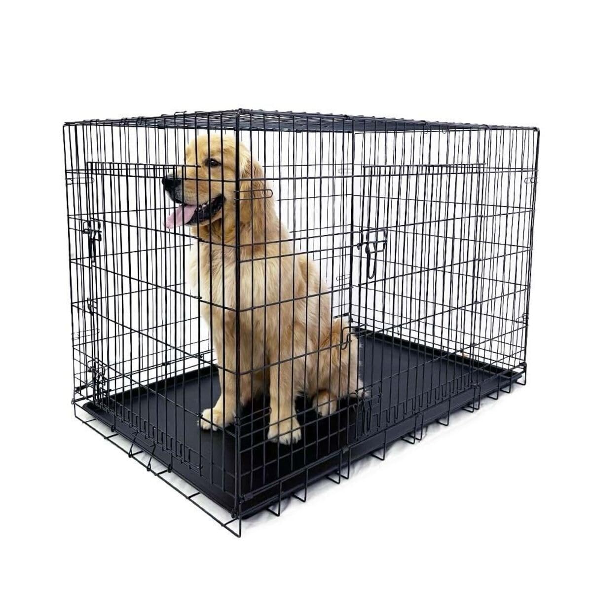 Amazon.co.jp: トムキャット トムクレイト6000 : ペット用品