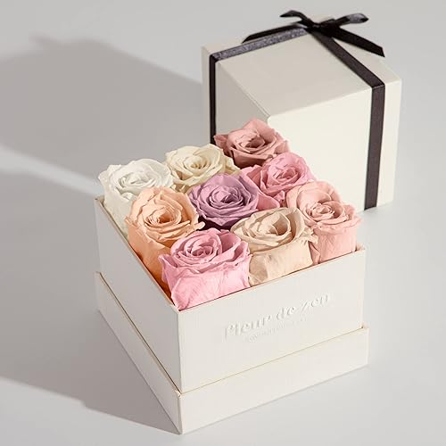 Eternity Roses | Rosas preservadas listas para regalo en una caja para ella | Rosas frescas para entrega Prime Daydream