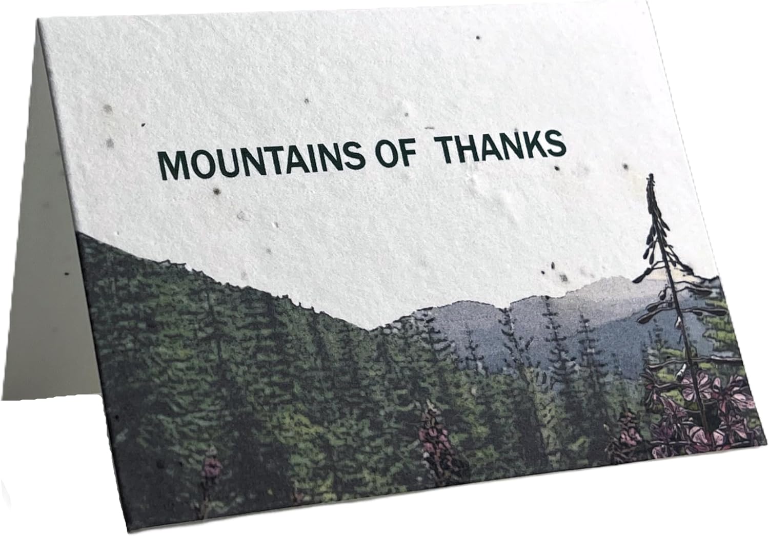 Of The Earth Handmade Paper - Wildflower Seed Handmade Folding Card - Thank You Variations - Blank Inside - 3.5" x 5" - Set of 10 w/Recycled Envelope (Mountains of Thanks)